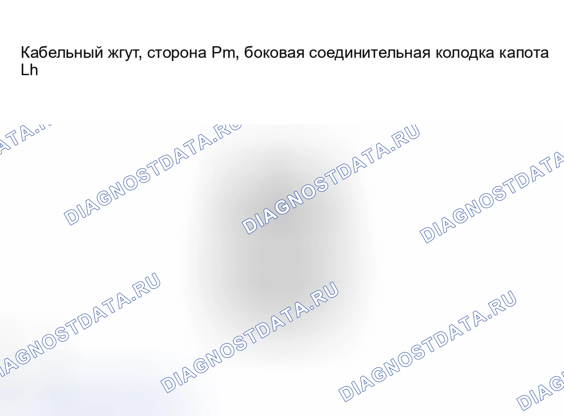 Рис. 19. Haval H8 I