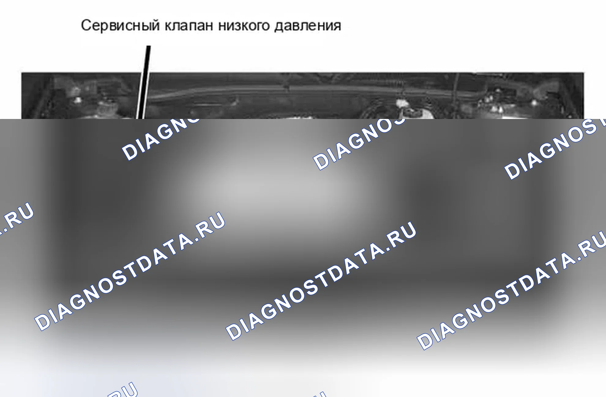 Рис. 23. Ford Escape I