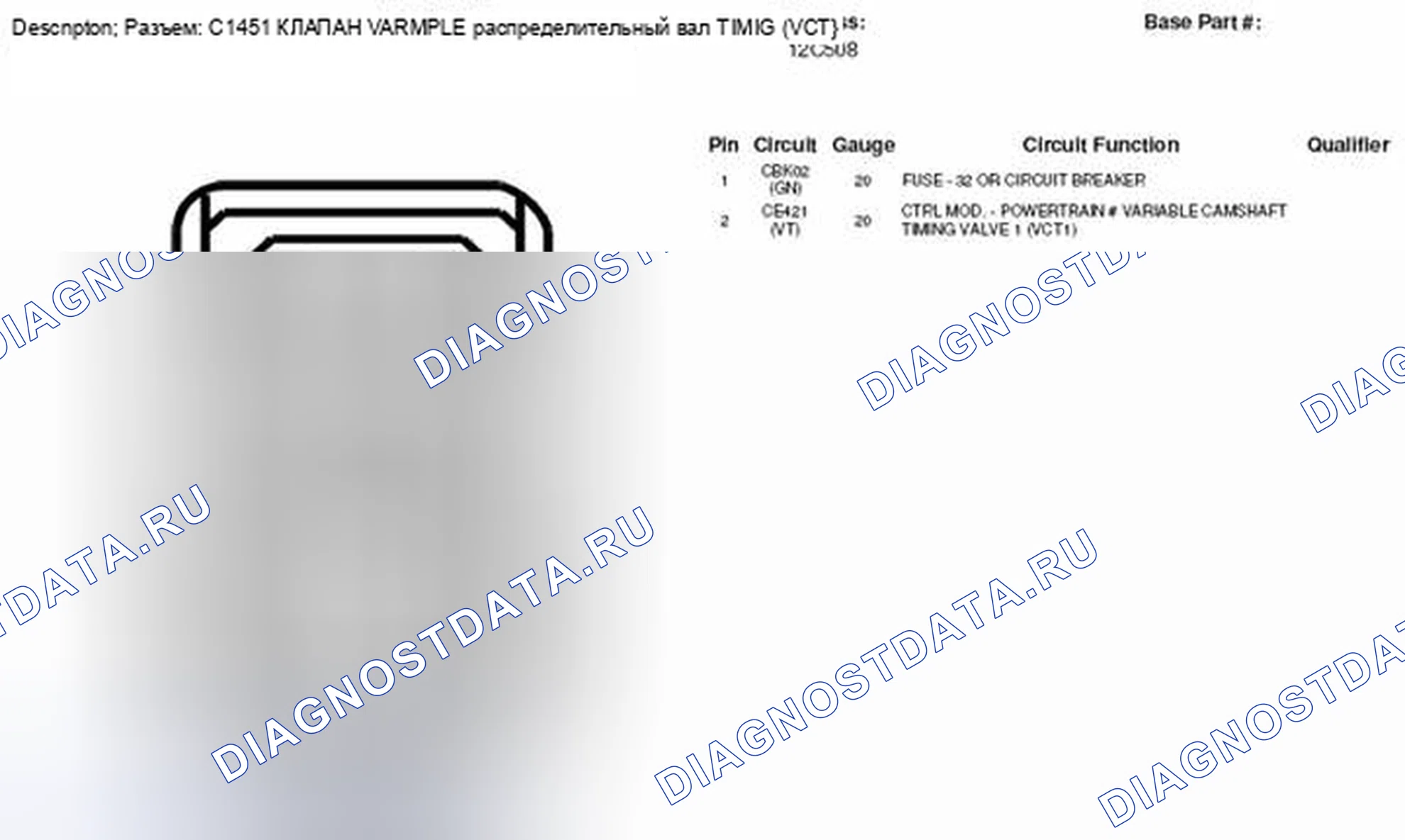 Рис. 220: Вид с торца разъема клапана 1 с регулируемой синхронизацией распределительного вала (C1451). Hyundai Lafesta I рестайлинг