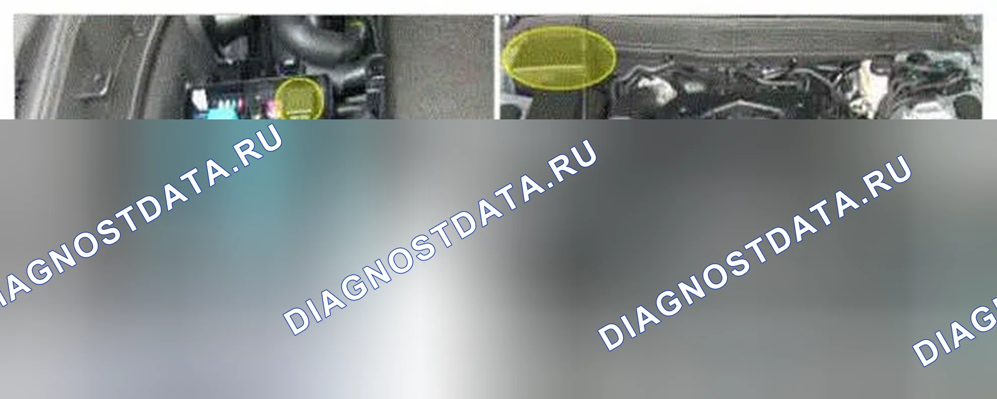 Рис. 481: Расположение компонентов. Hyundai Genesis I рестайлинг