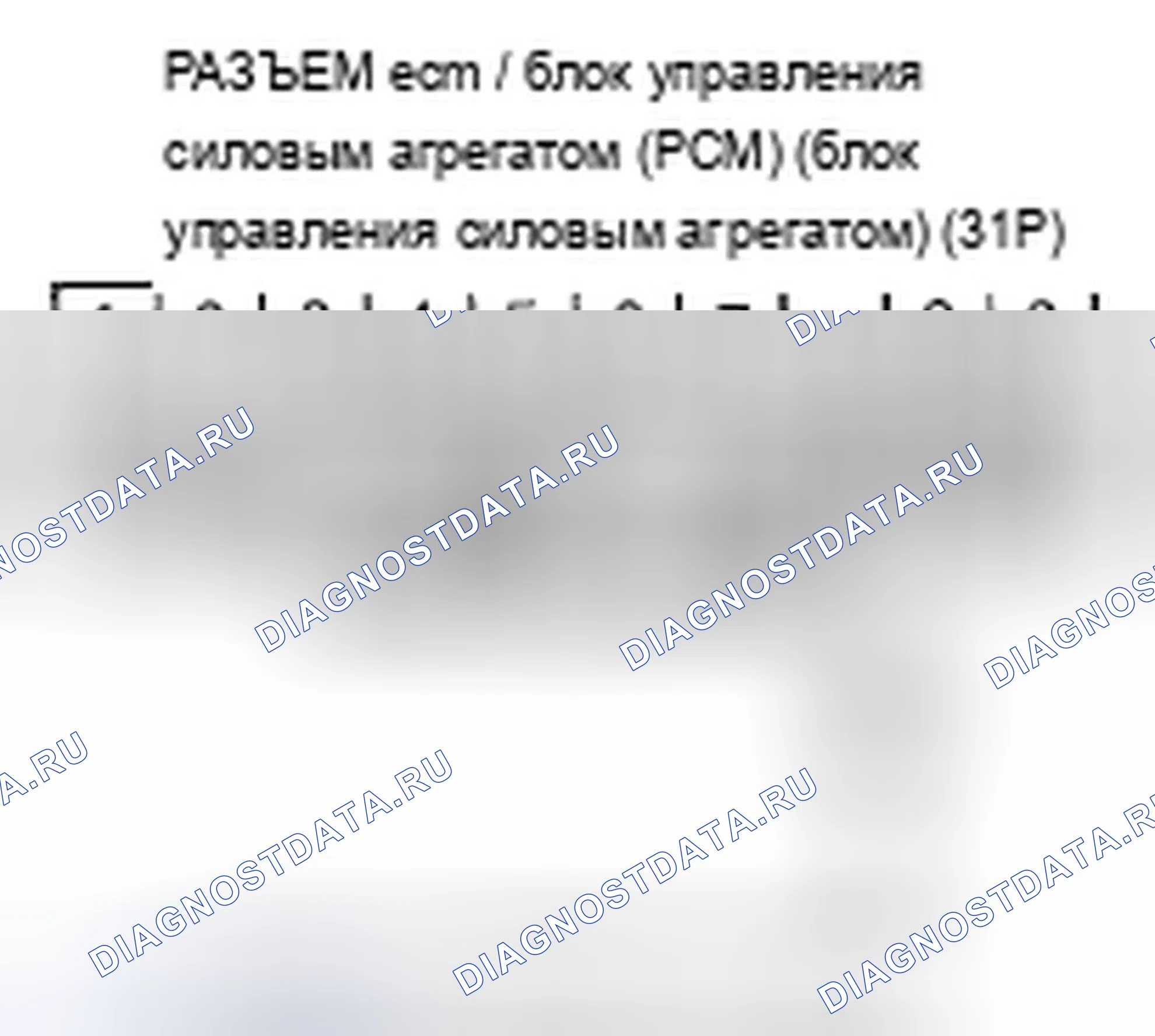 Рис. 240. Acura TSX I