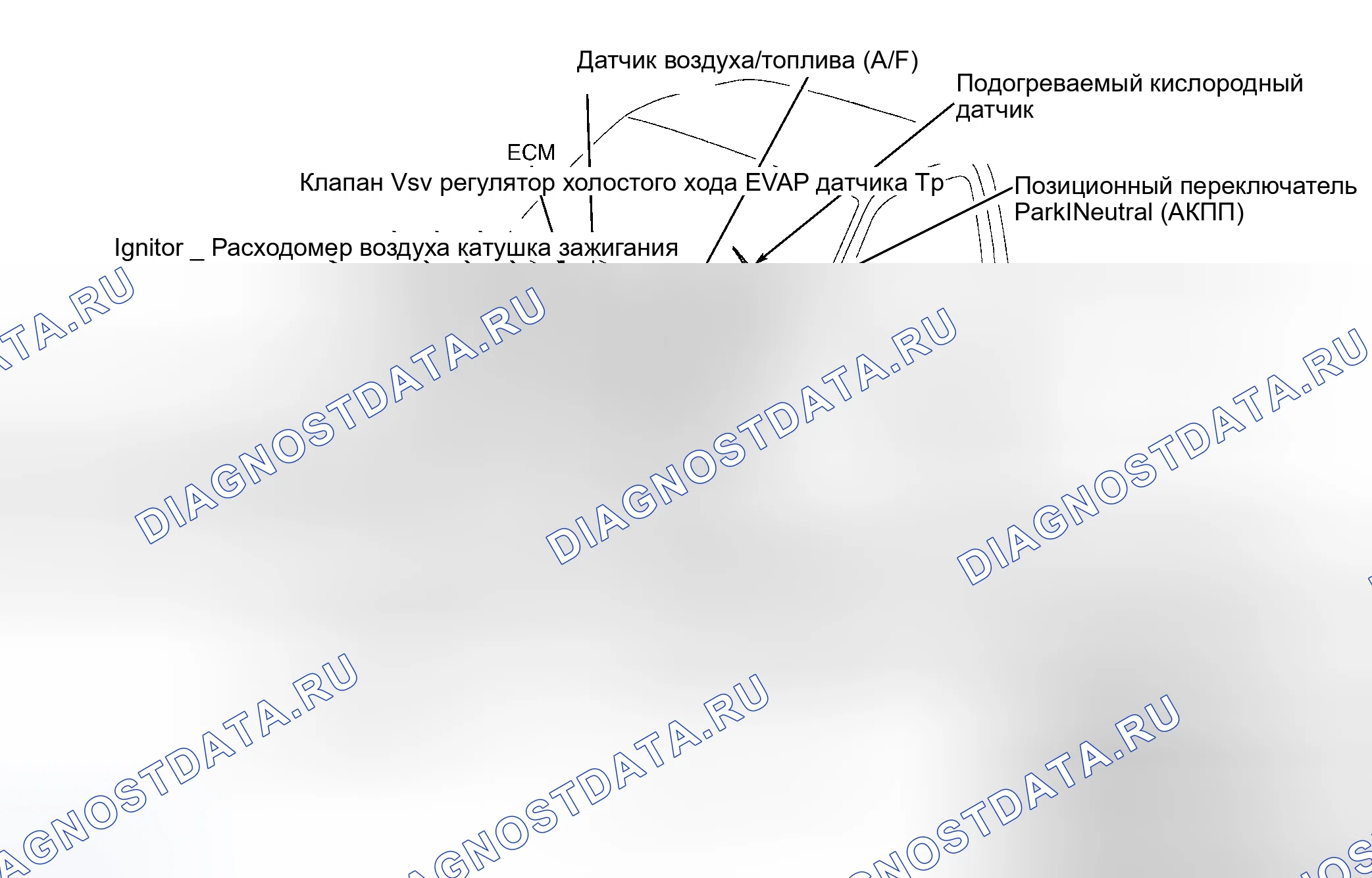 Рис. 31. Toyota Highlander I