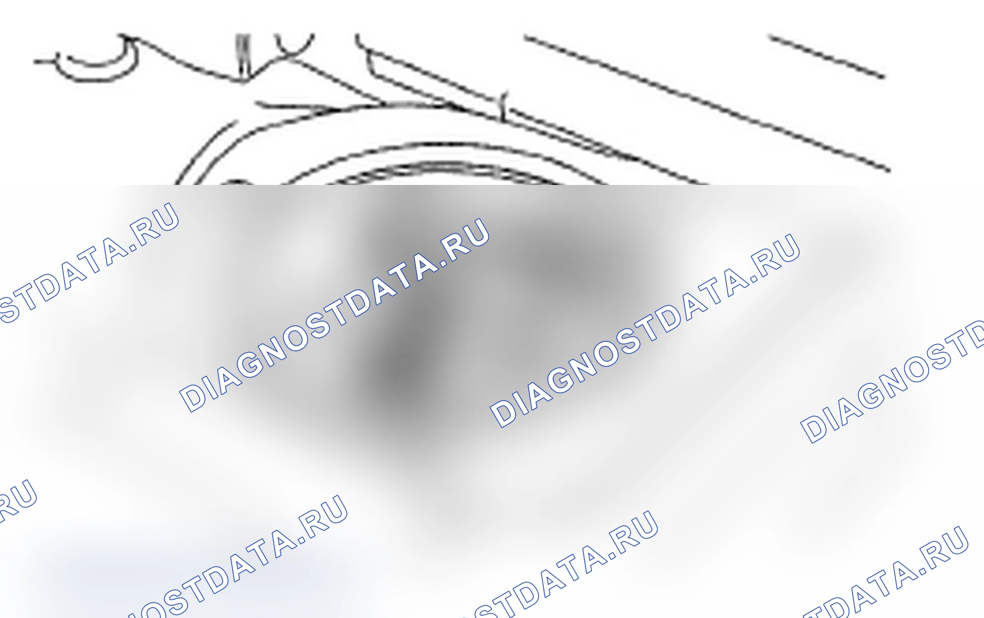 Рис. 289. Subaru Impreza WRX GD/GG рестайлинг 2