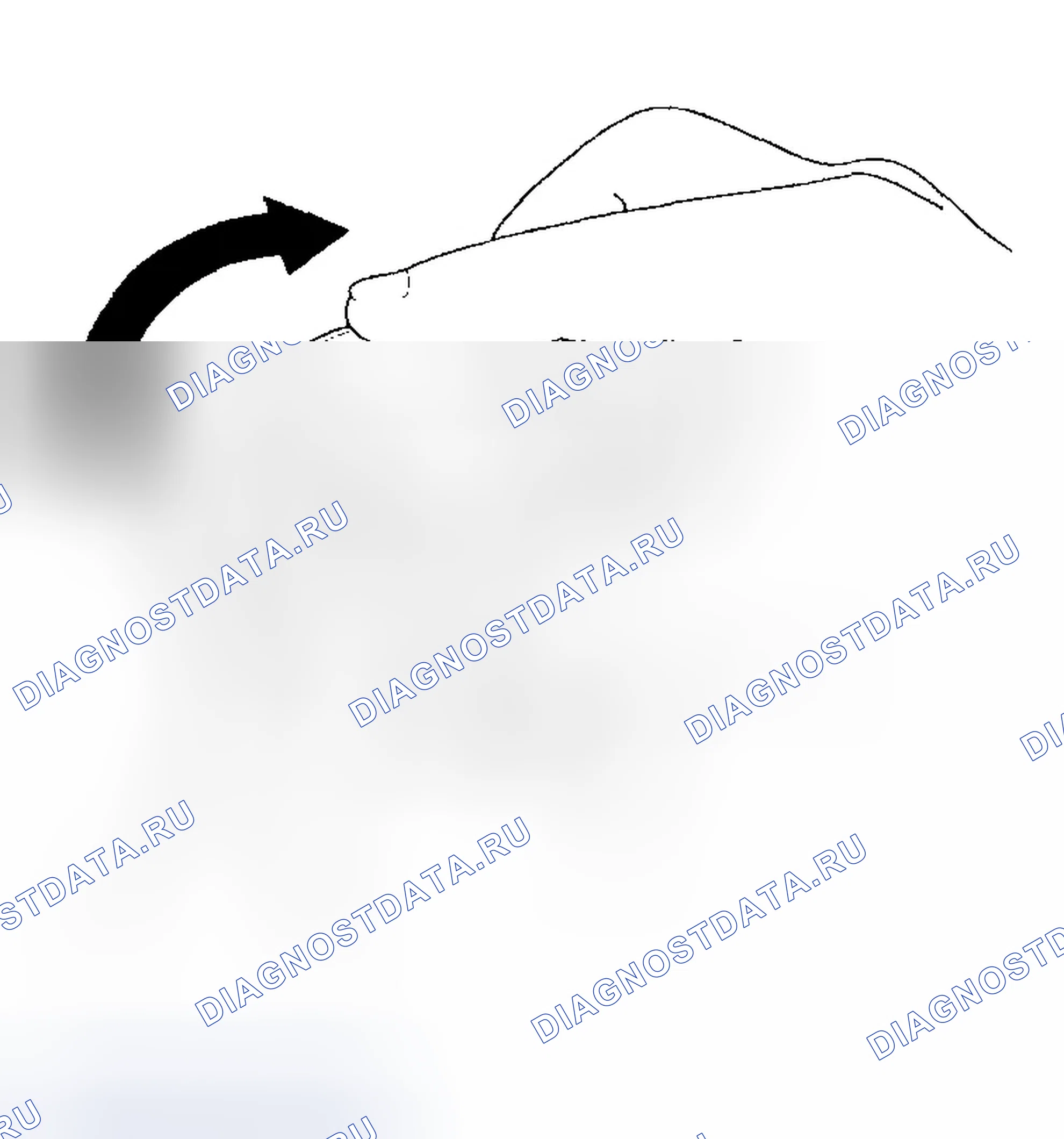 Рис. 100. Honda Civic VII рестайлинг