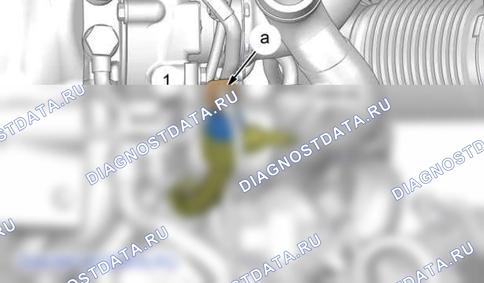 Проверка: давление масла — b1fd01rd. Citroen C4 L I