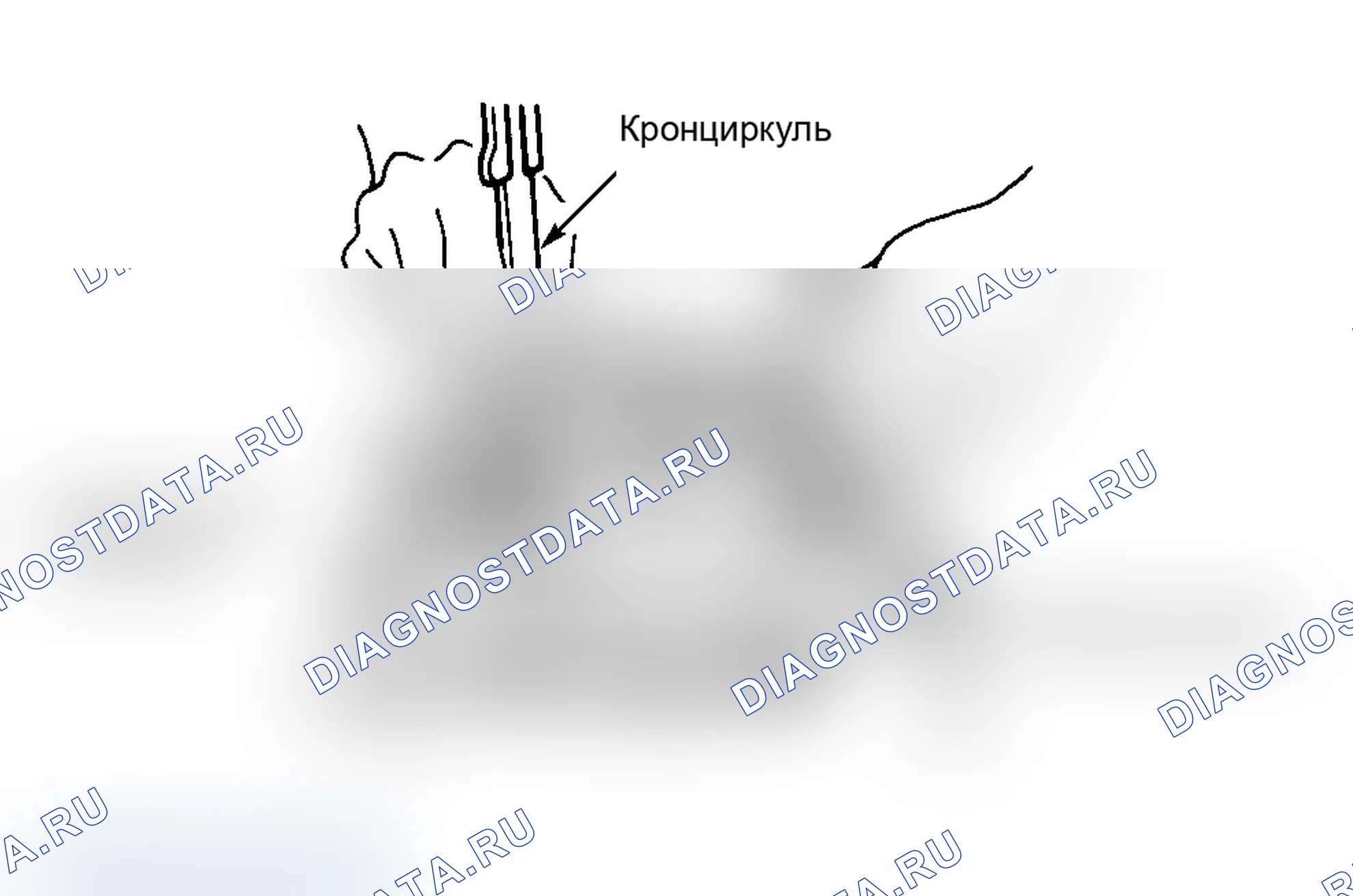 Рис. 48. Isuzu Impulse I