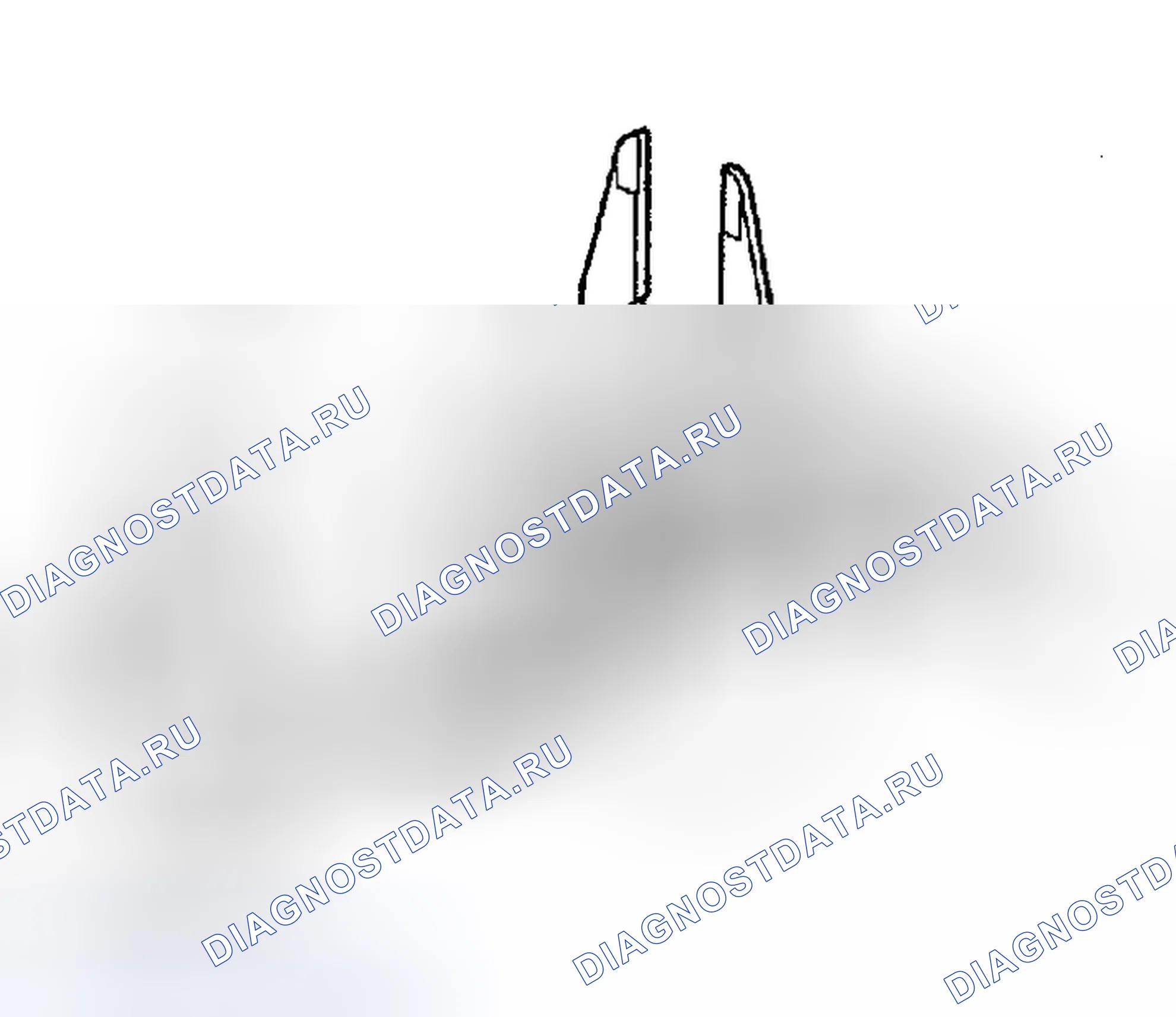Рис. 31. Toyota Sequoia I