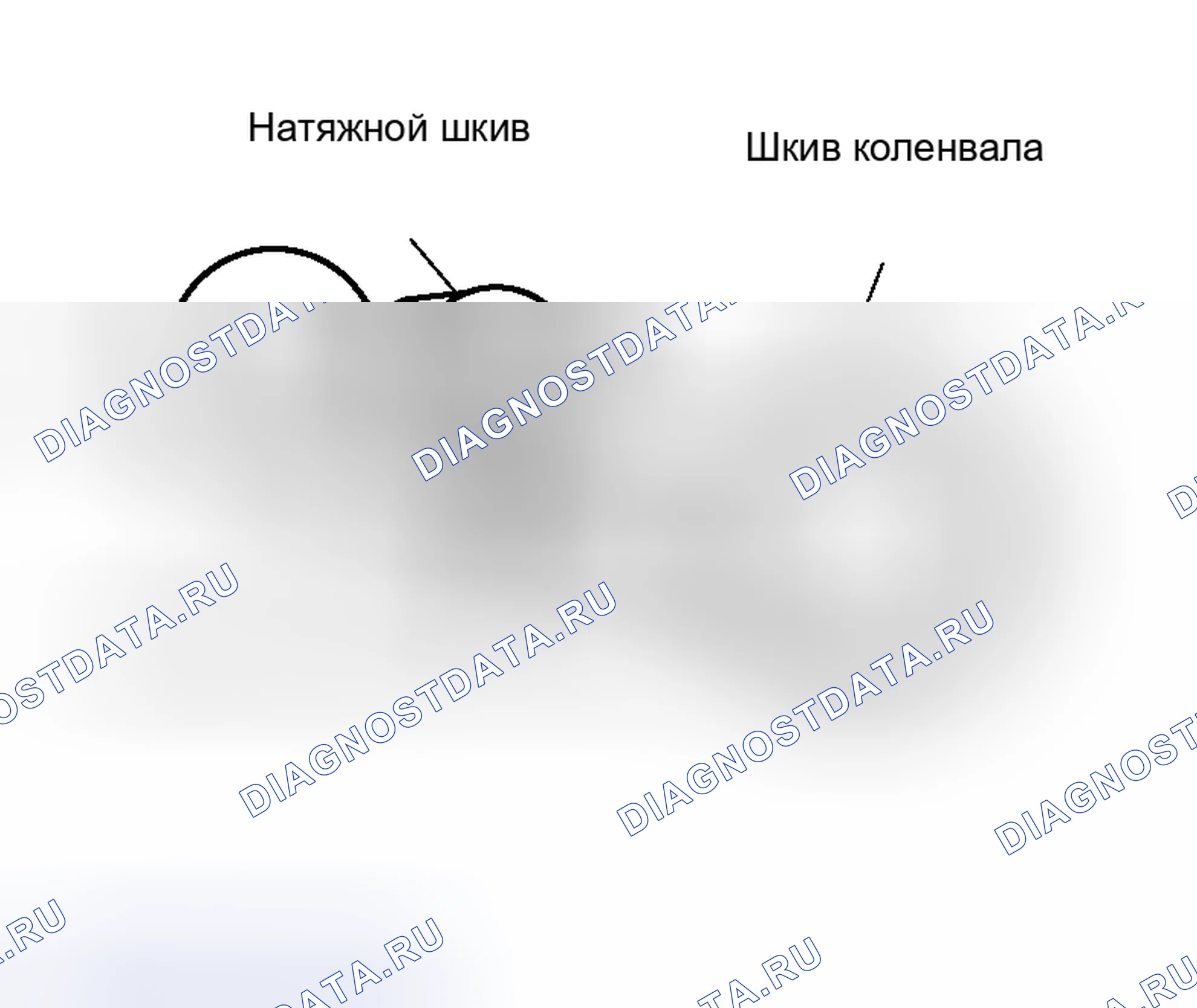 Рис. 81. Honda Freed+ I