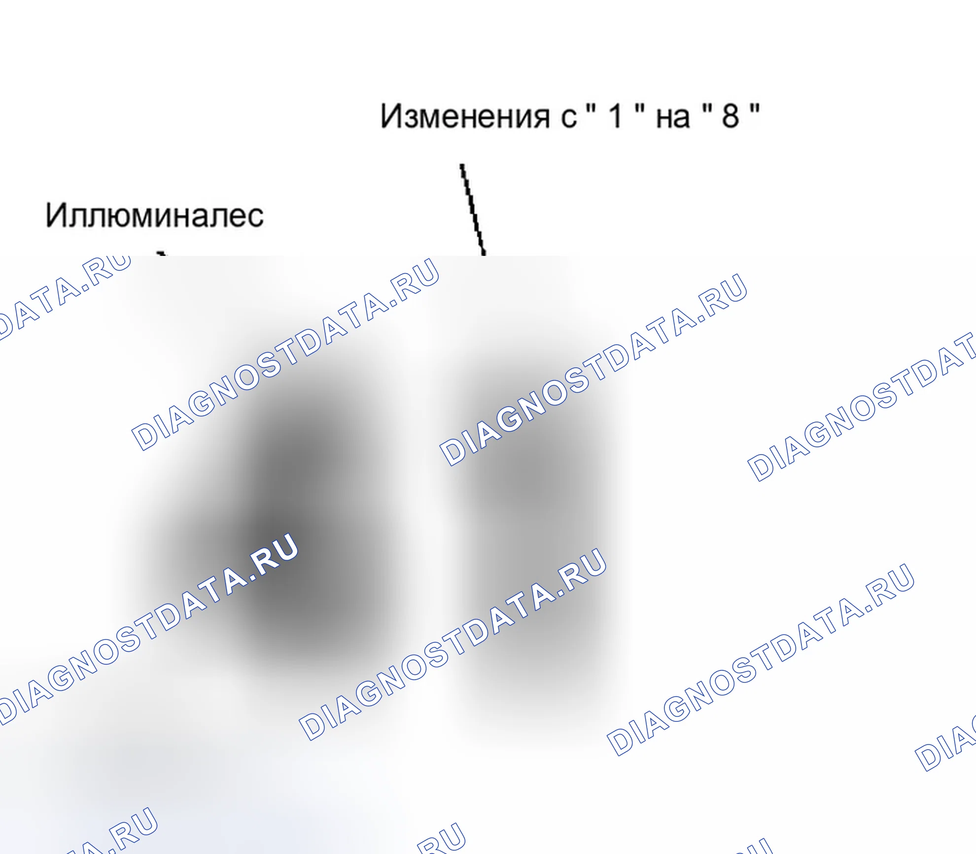Рис. 11. Infiniti M45 II