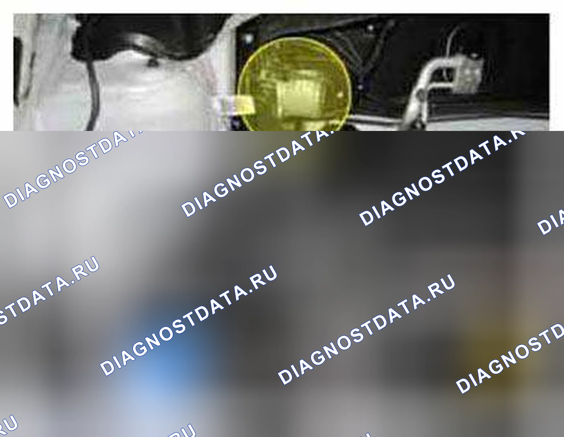 Рис. 226: Расположение компонентов. BMW 6 серия F06/F13/F12