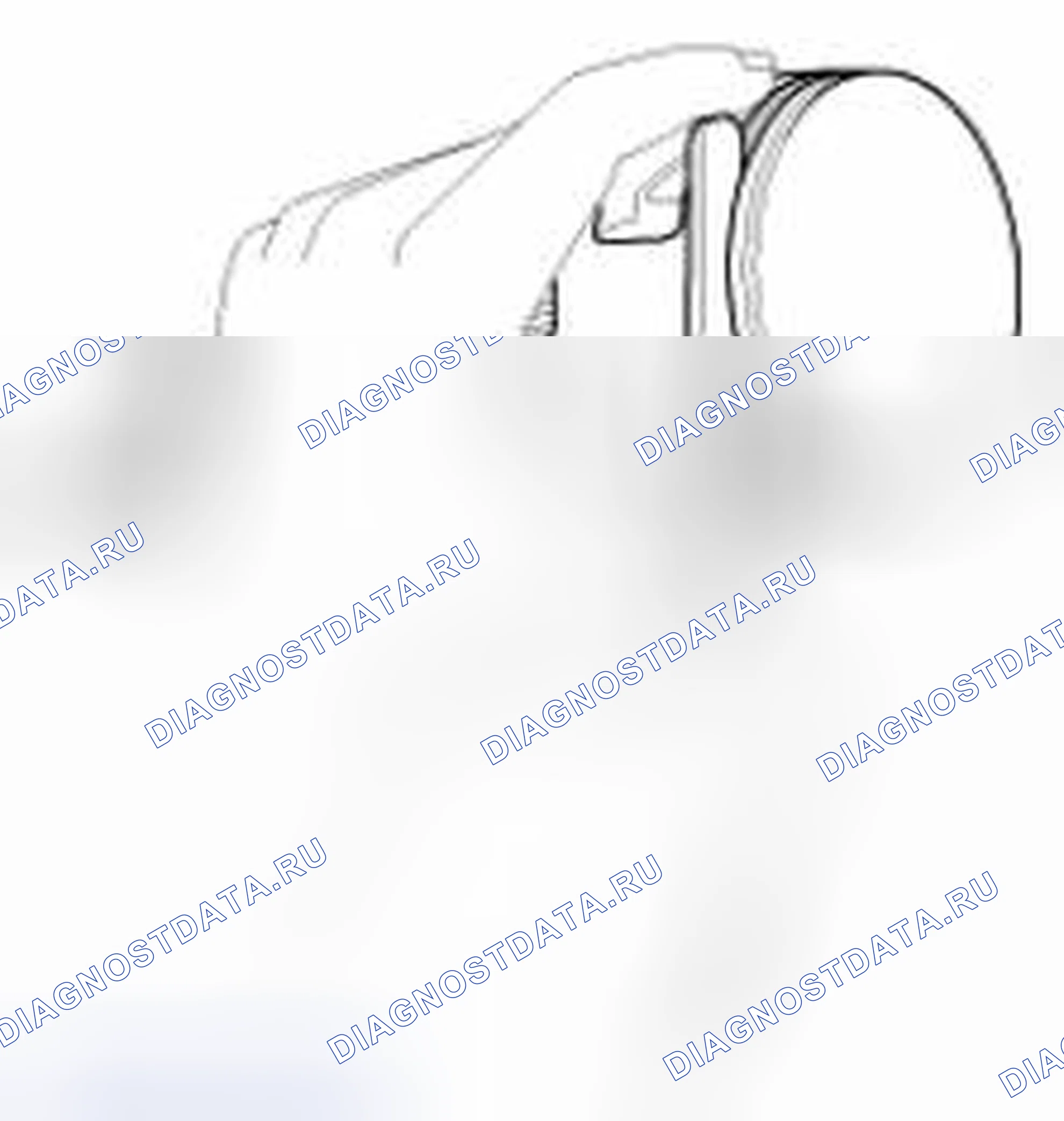 Рис. 218. Geely Panda I