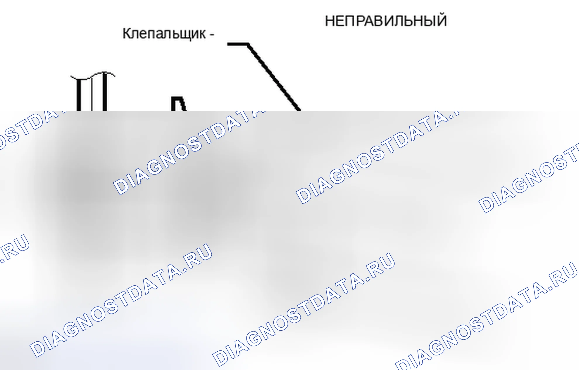 Рис. 245. Honda Accord IV