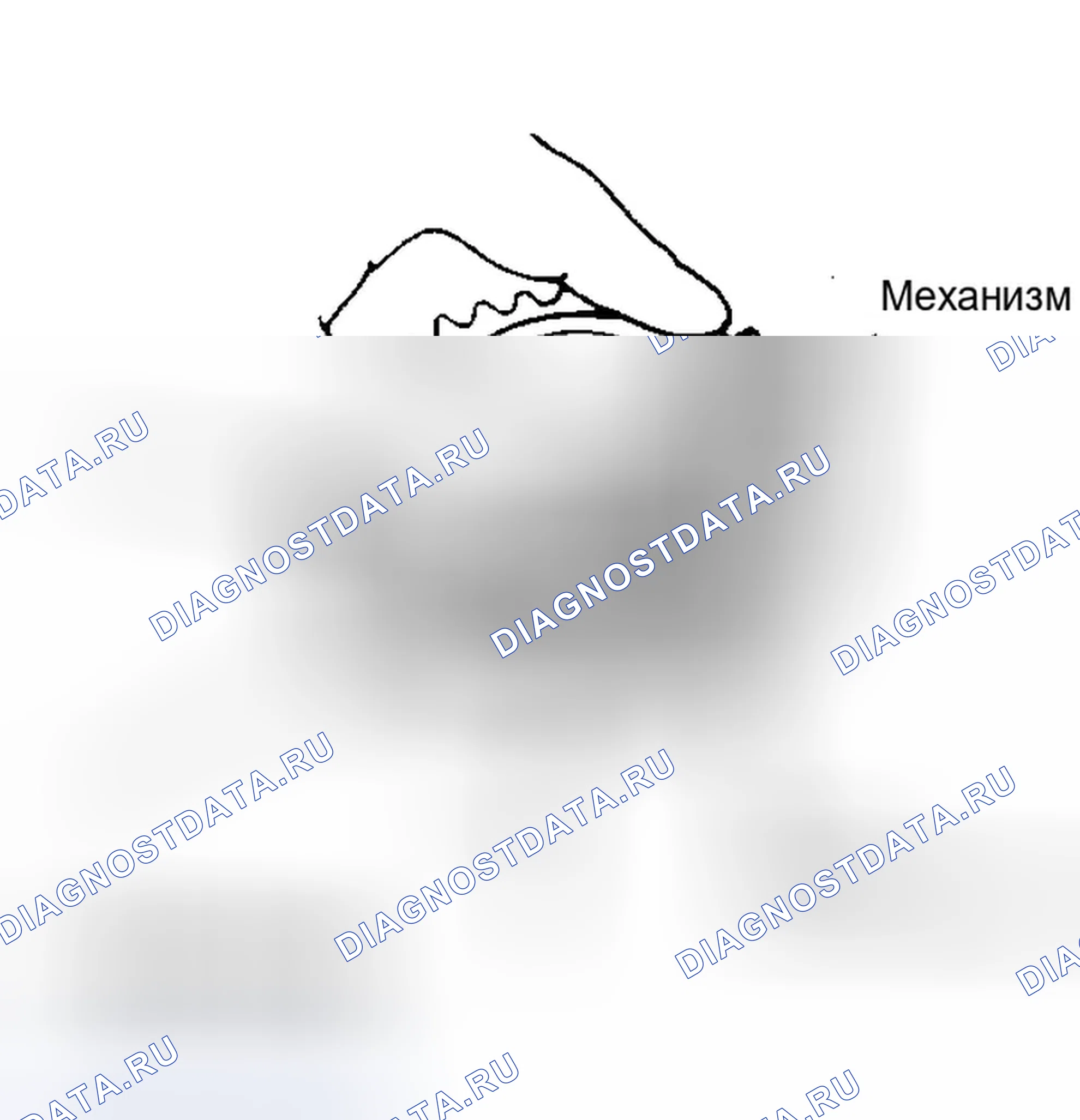 Рис. 54. Honda Civic II