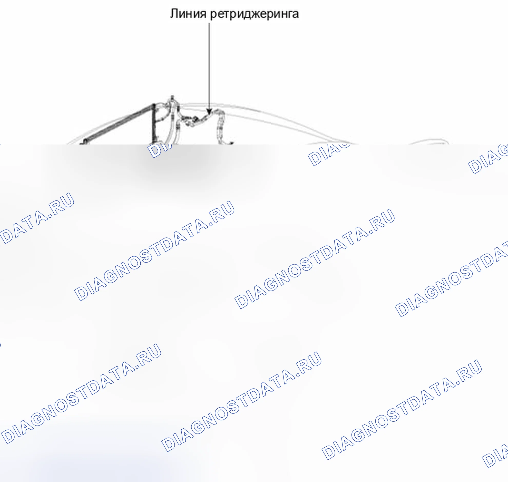Рис. 323: Расположение компонентов. Kia Optima III