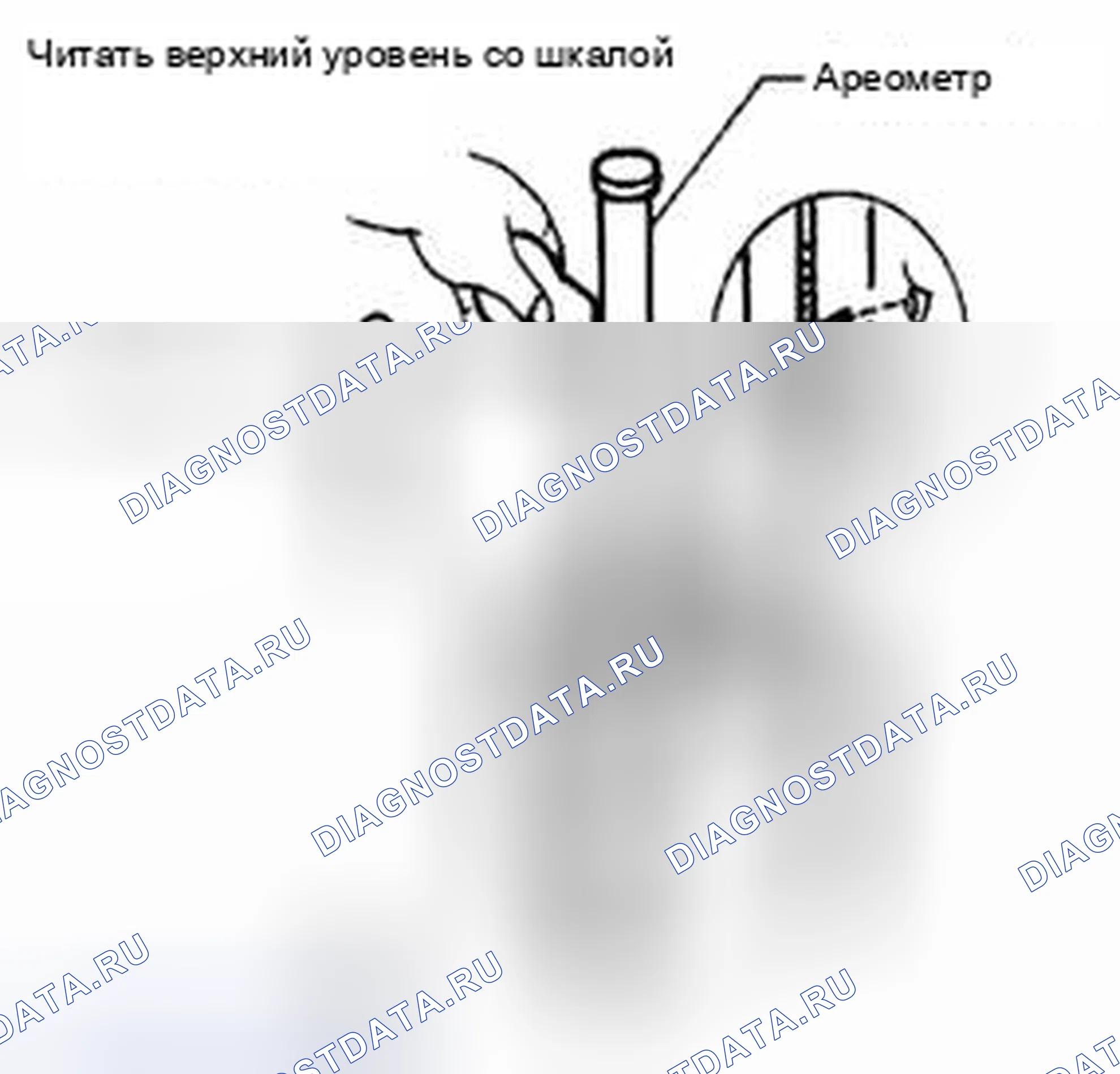 Рис. 14: ПРОВЕРКА УДЕЛЬНОГО ВЕСА. Suzuki Equator I