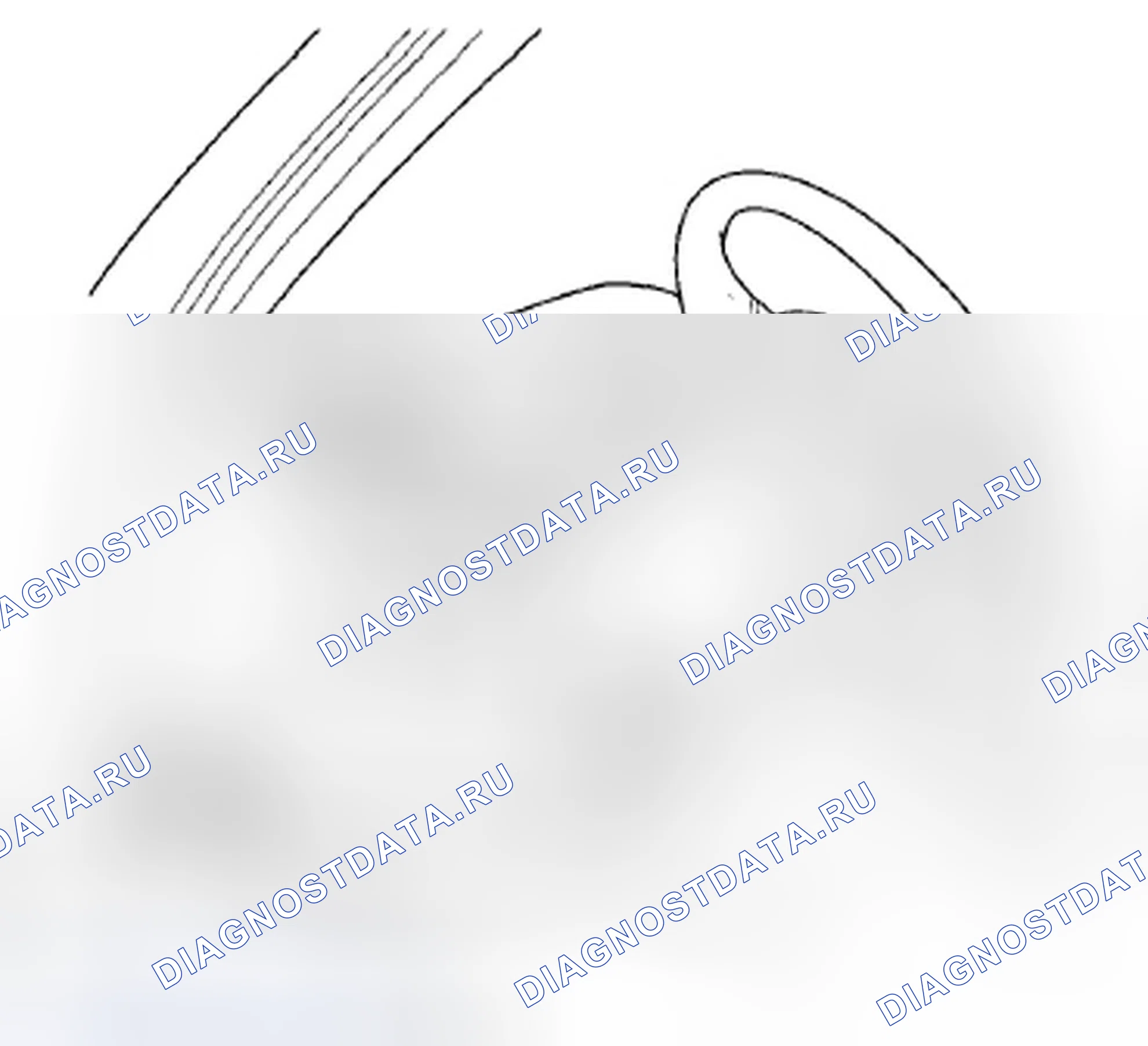 Рис. 590: Как проверить расшифровка кода ошибки с помощью HDS. Acura TSX II