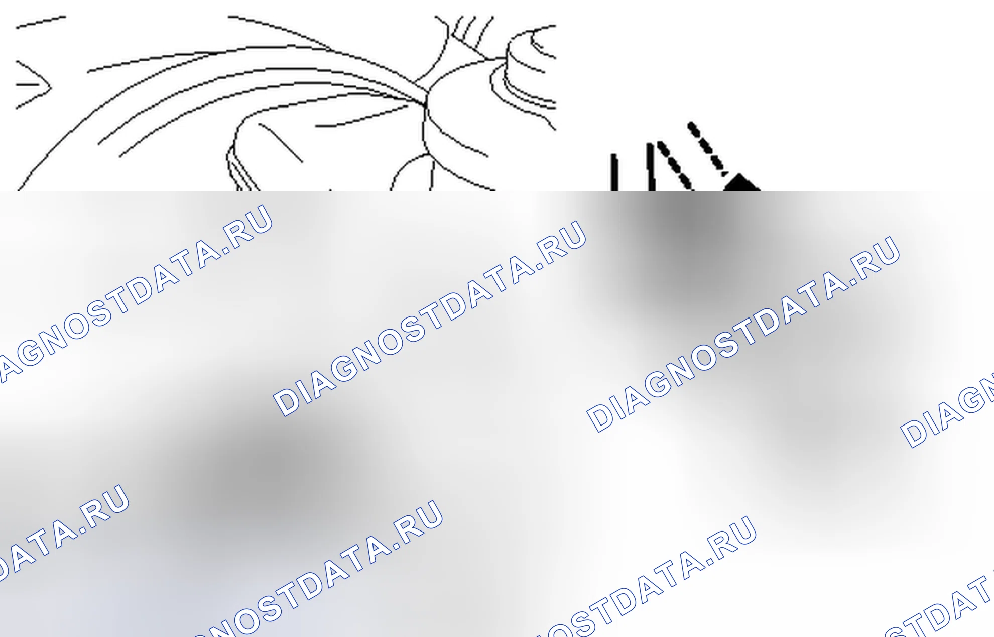 Рис. 9. Scion xD I