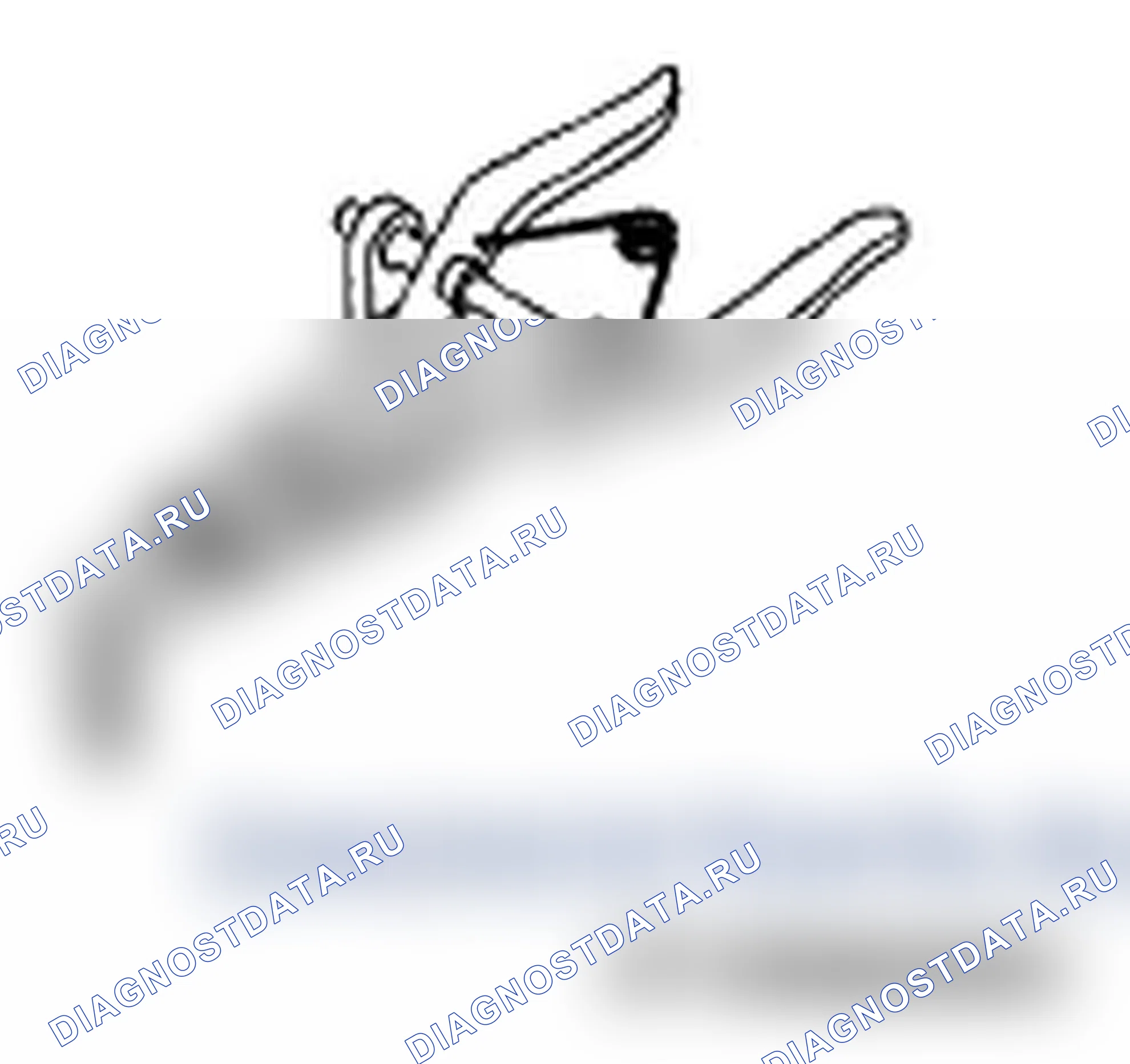 Рис. 457. Subaru Impreza WRX GD/GG рестайлинг 2