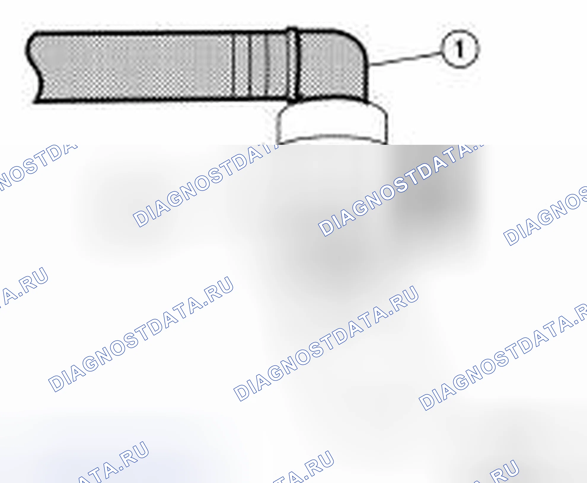 Рис. 19: Шланг EVAP. Nissan Sentra B16 рестайлинг