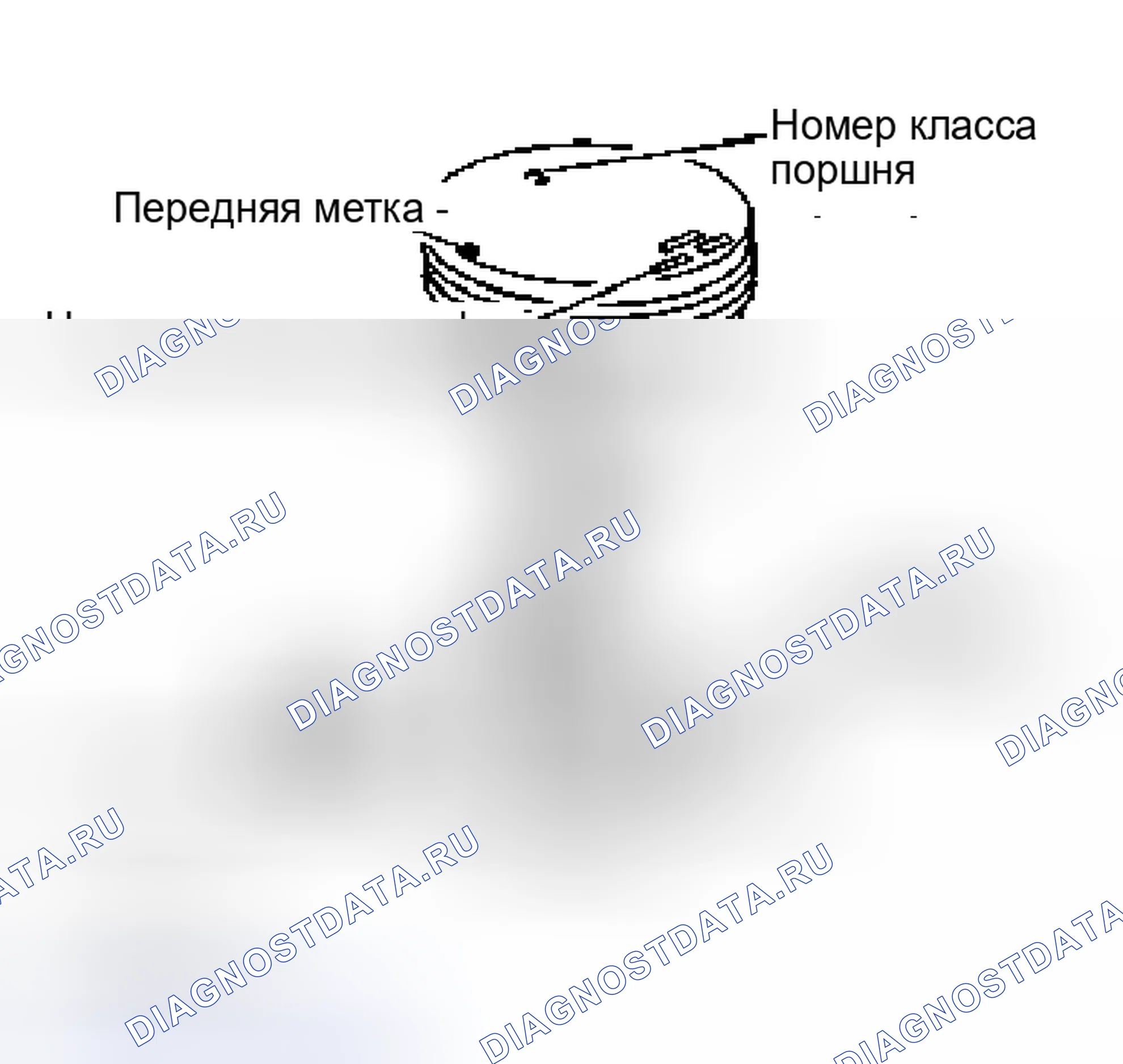 Рис. 101. Nissan Murano Z50