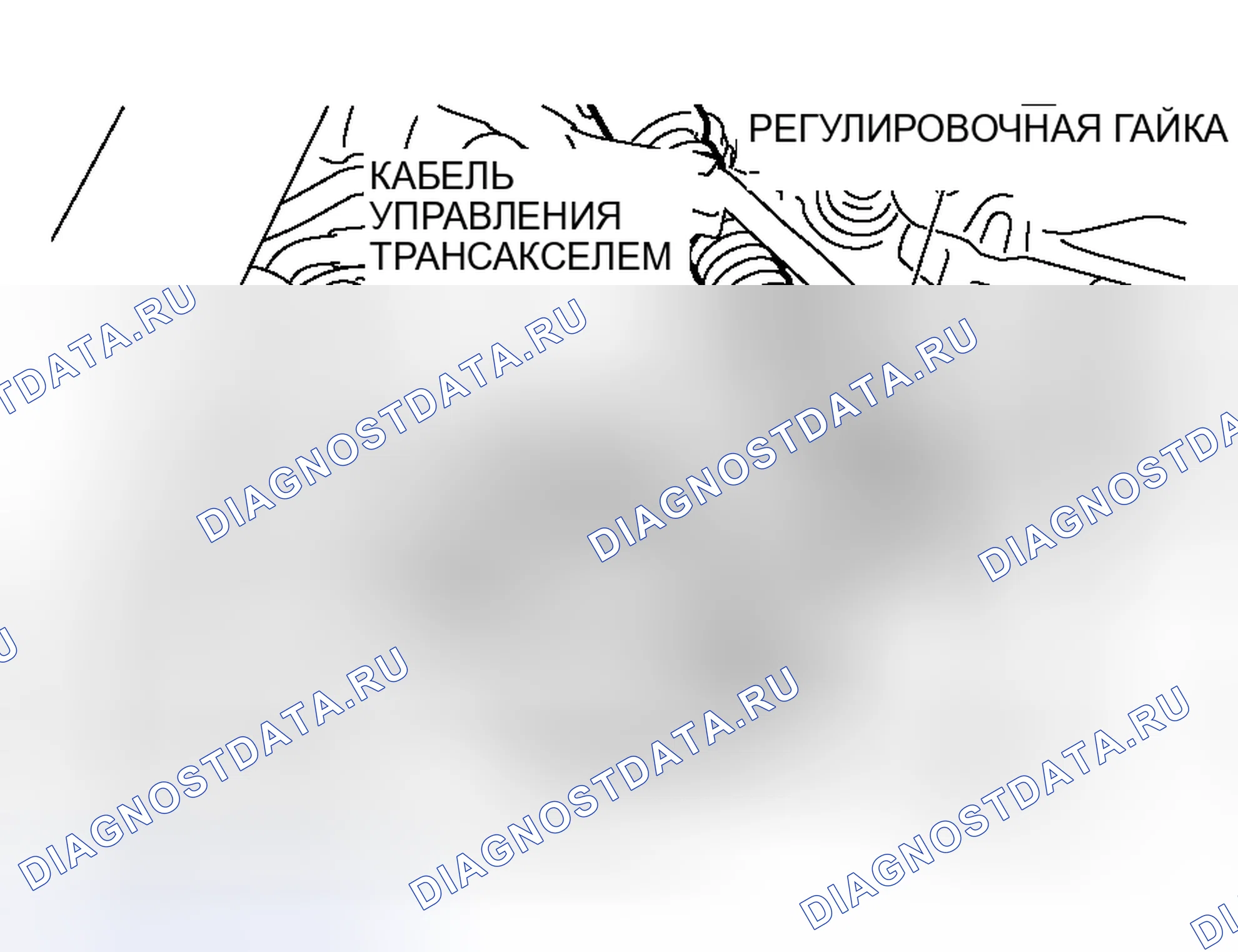 Рис. 243: ПЕРЕКЛЮЧАТЕЛЬ ДИАПАЗОНА ПЕРЕДАЧИ И РЕГУЛИРОВКА ТРОСА УПРАВЛЕНИЯ. Mitsubishi Lancer Evolution IX