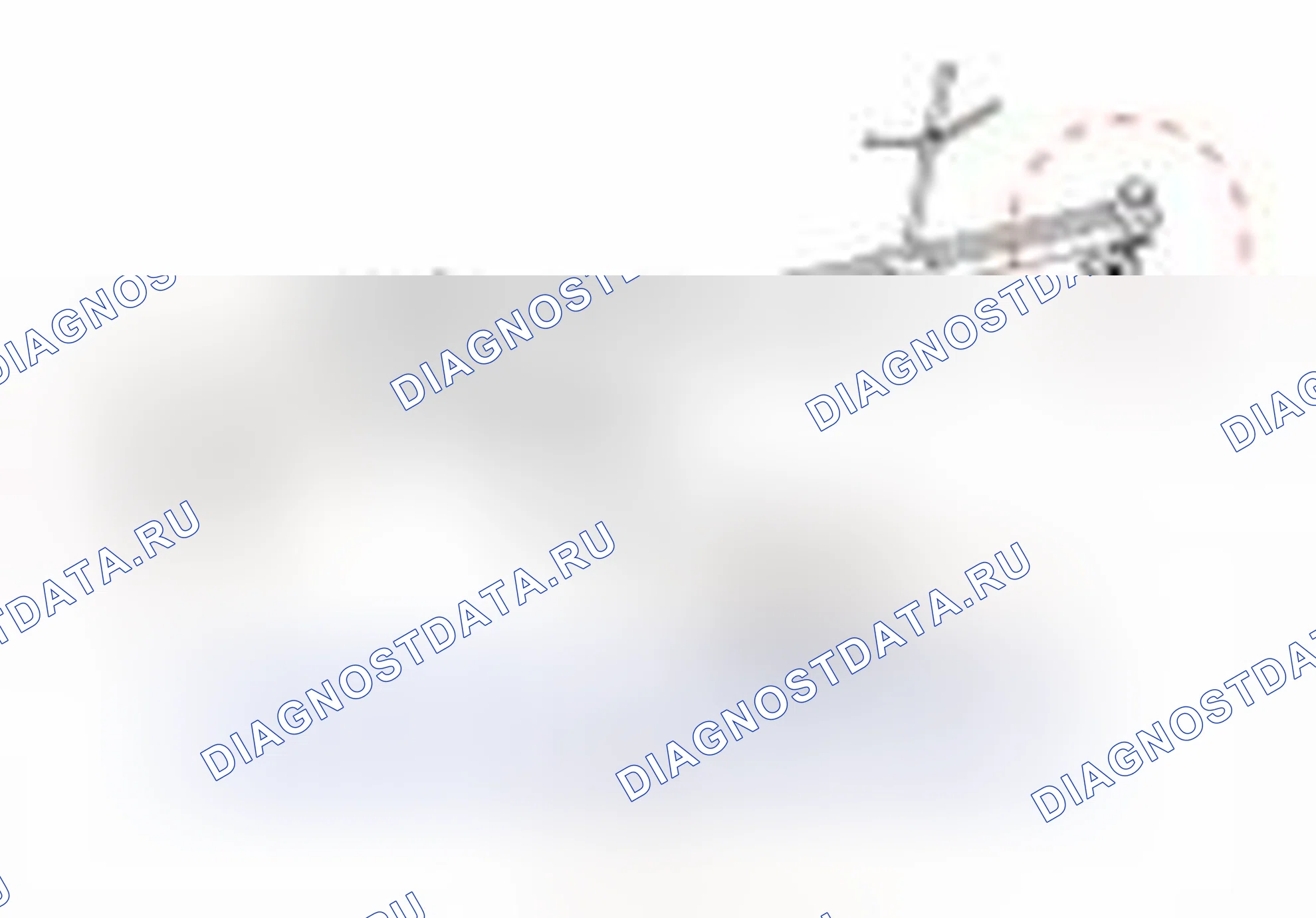 Рис. 233. Haval Beast (Shenshou) I