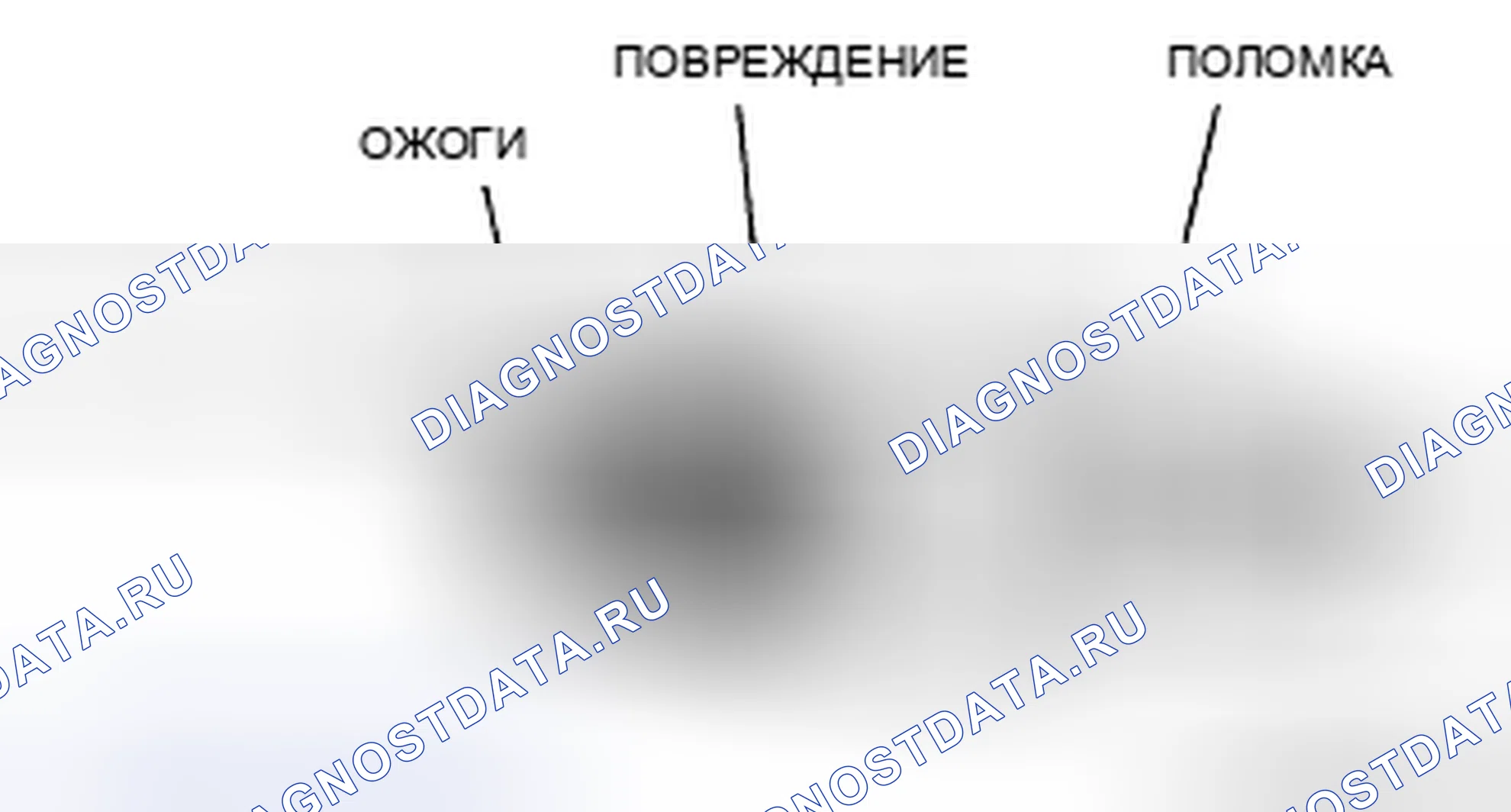 Рис. 10: Визуальный осмотр. Honda CR-V IV