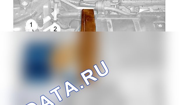 Снятие - Установка: ремень ГРМ — b1eg078d. Citroen C-Quatre I