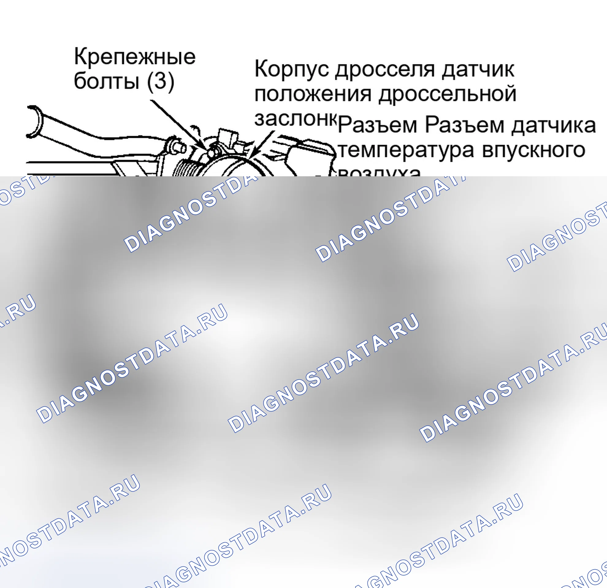 Рис. 11: Датчик температуры всасываемого воздуха (температура впускного воздуха), двигатель регулятор холостого хода и датчик положения дроссельной заслонки (Dakota и Durango 4.7L). Dodge Dakota II