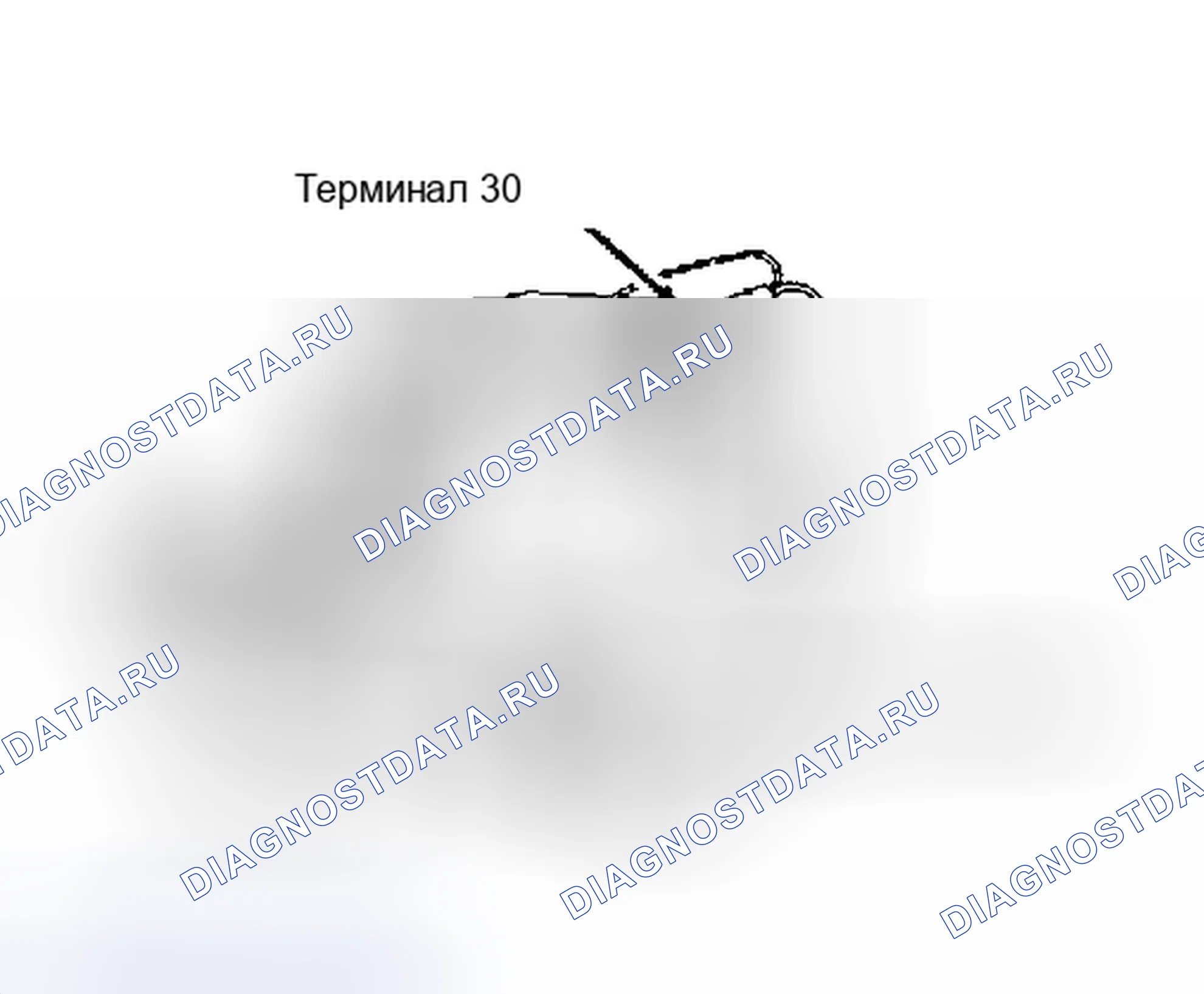 Рис. 2. Toyota Paseo L40