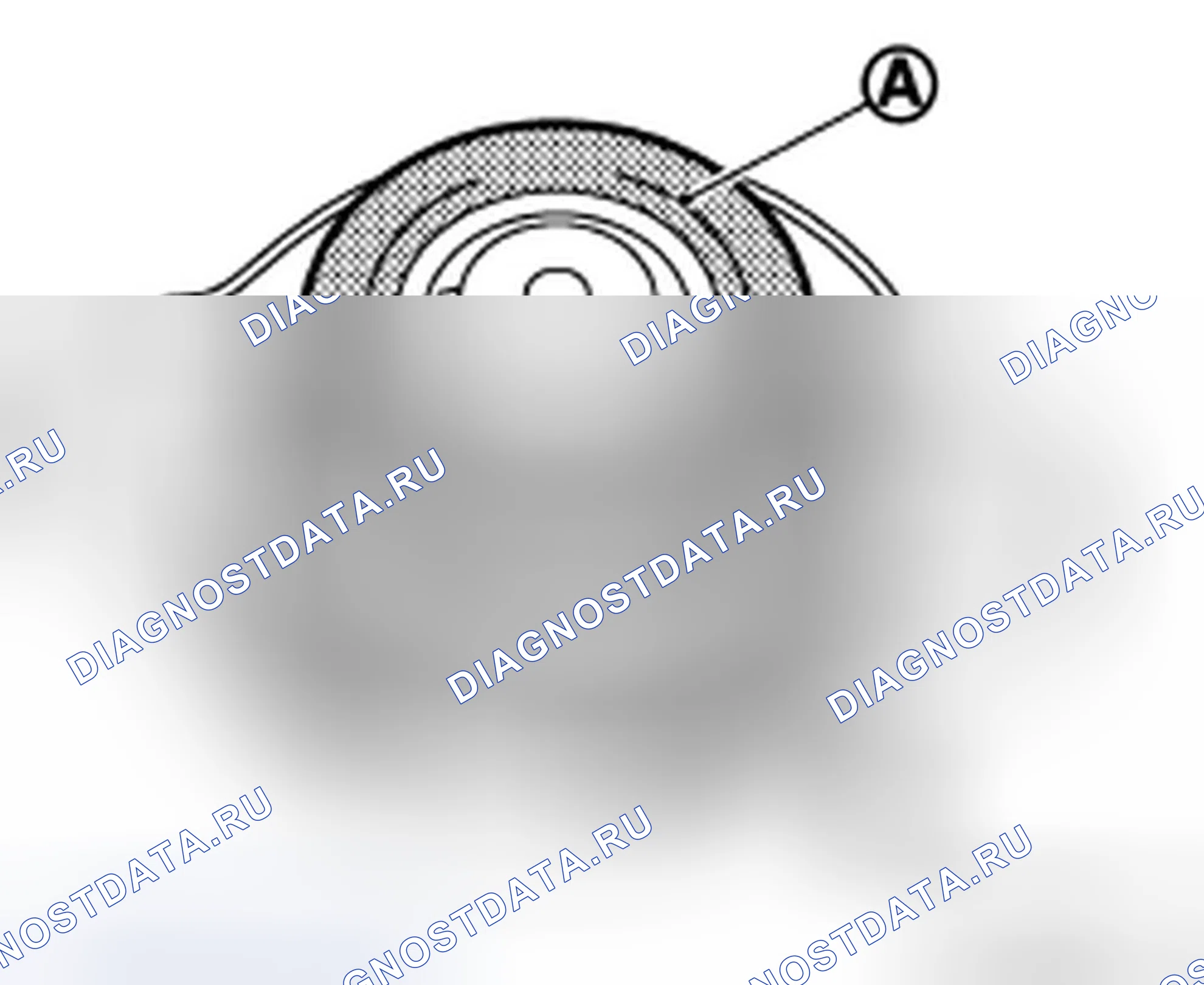 Рис. 38: КРЫШКА РАДИАТОРА: Проверка. Infiniti M56 IV