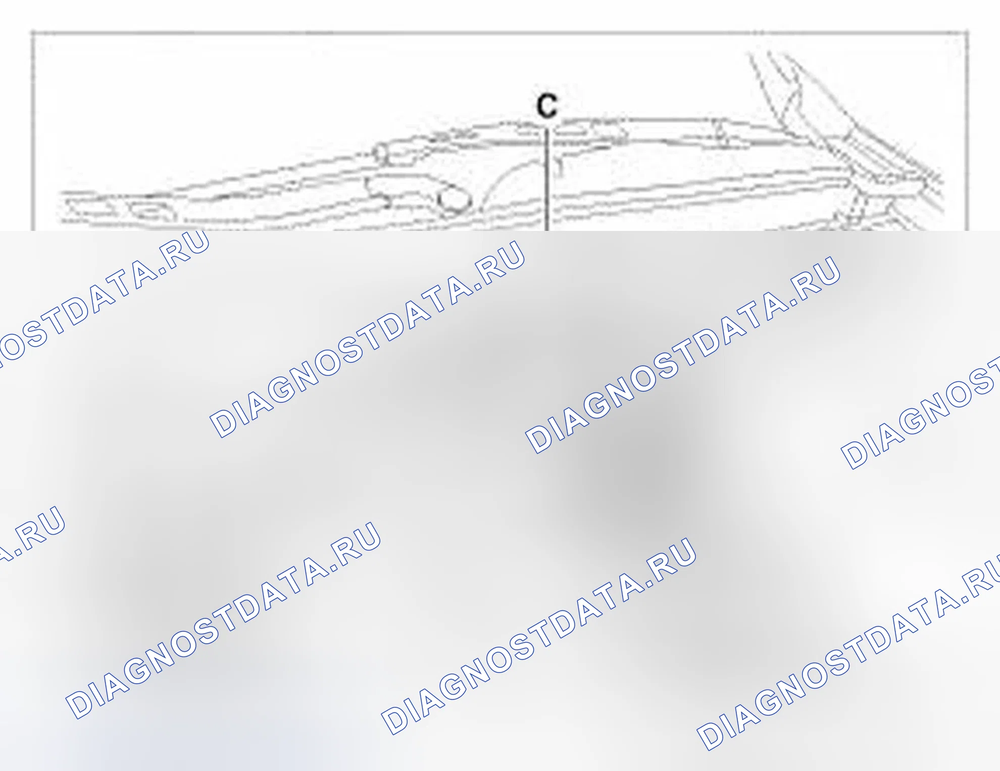 Рис. 32. Hyundai Genesis I рестайлинг