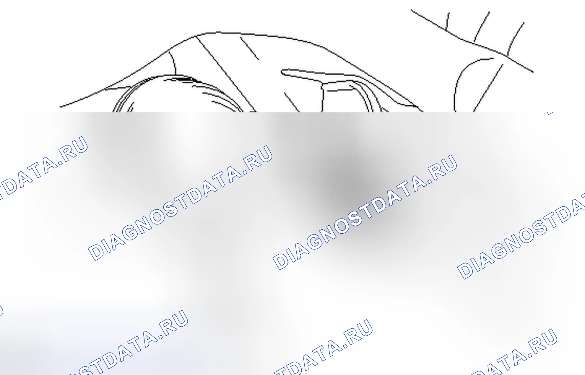 Рис. 127. Honda Accord IV