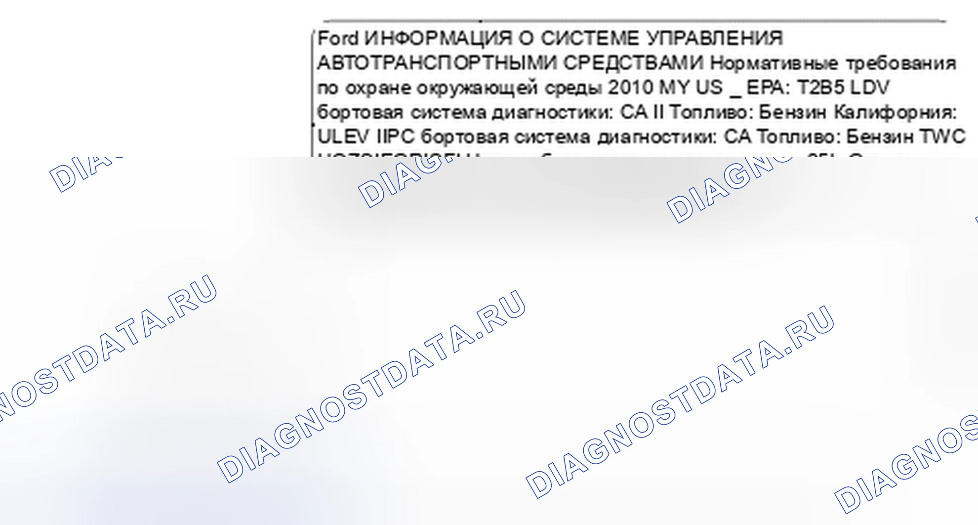 Рис. 14: Типовая декаль VECI. Hyundai Lafesta I