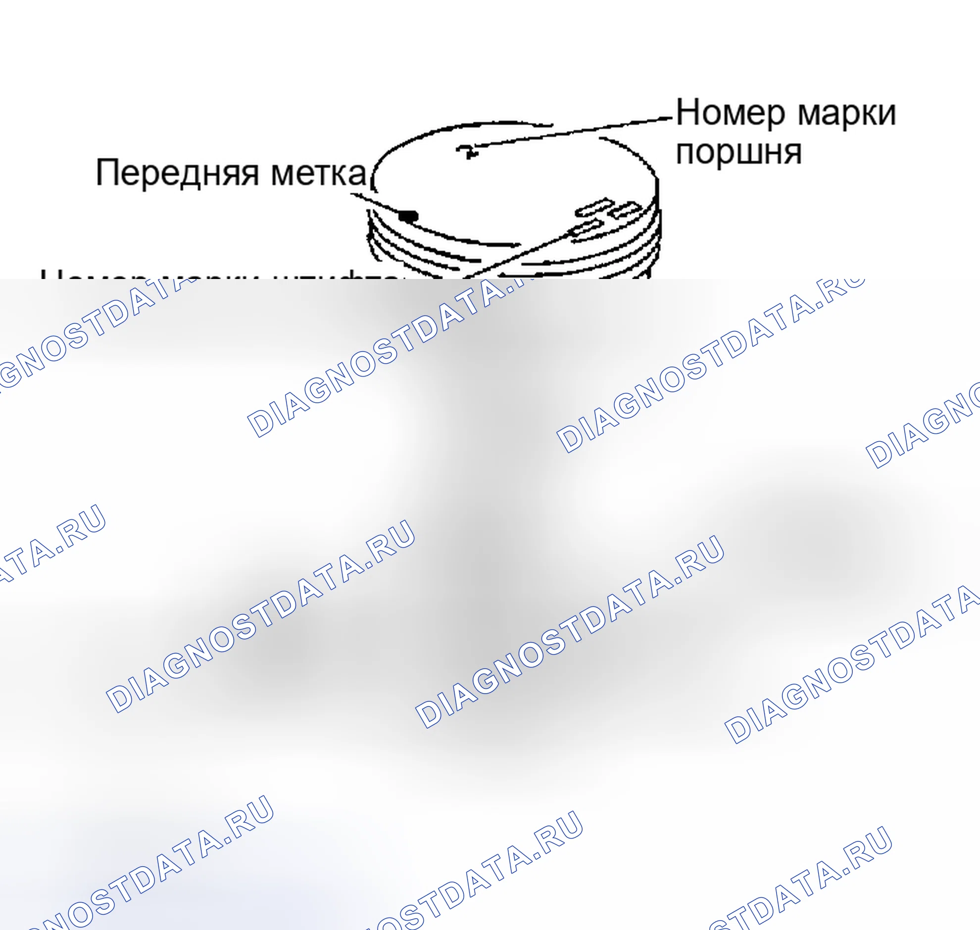 Рис. 257: Поршень. Nissan Maxima A33