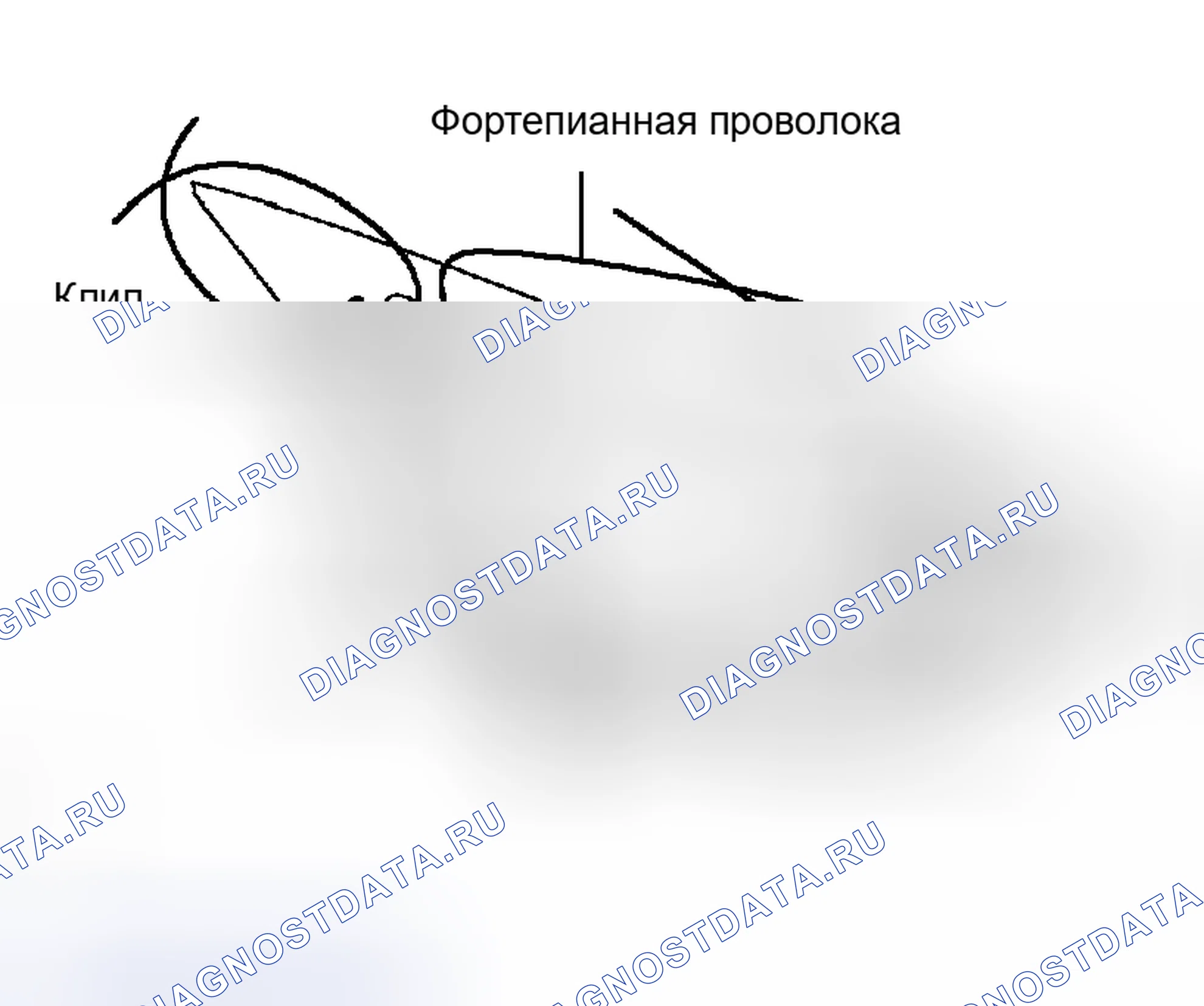 Рис. 54. Lexus RX II