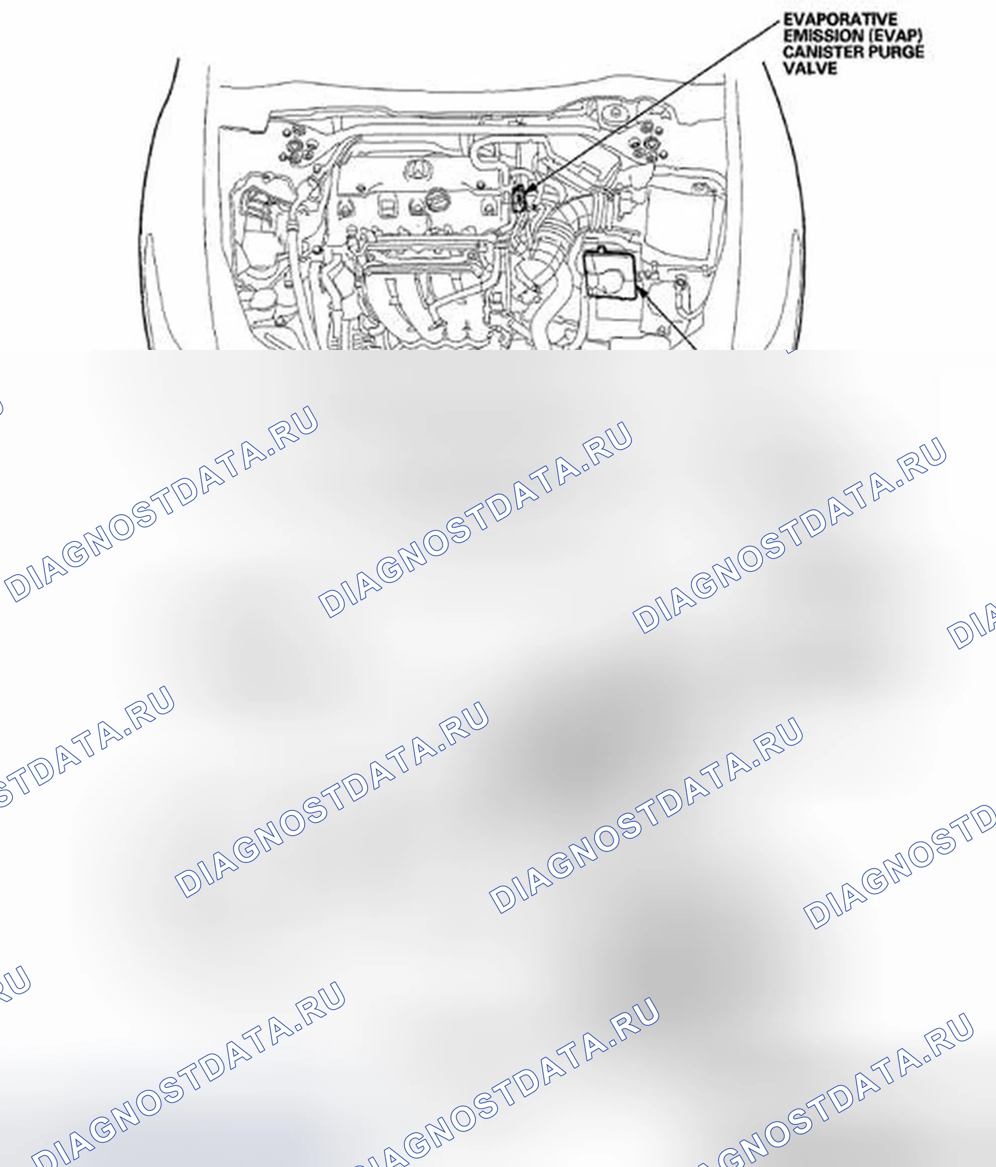 Рис. 92: Указатель расположения компонентов. Acura TSX II