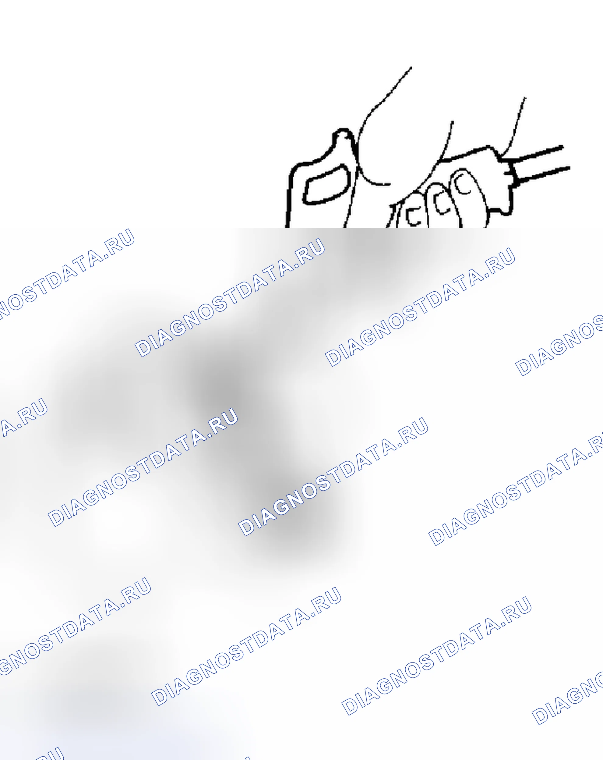 Рис. 9. Haval Xiaolong Max I