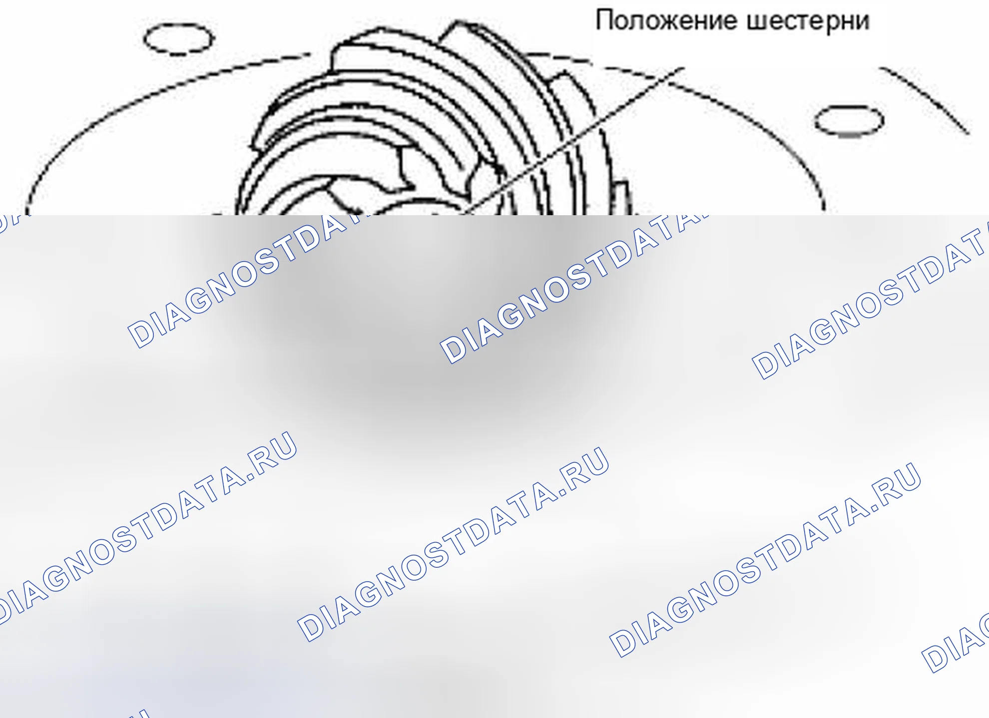 Рис. 281: Шайба регулировки высоты ведущей шестерни. Suzuki Equator I