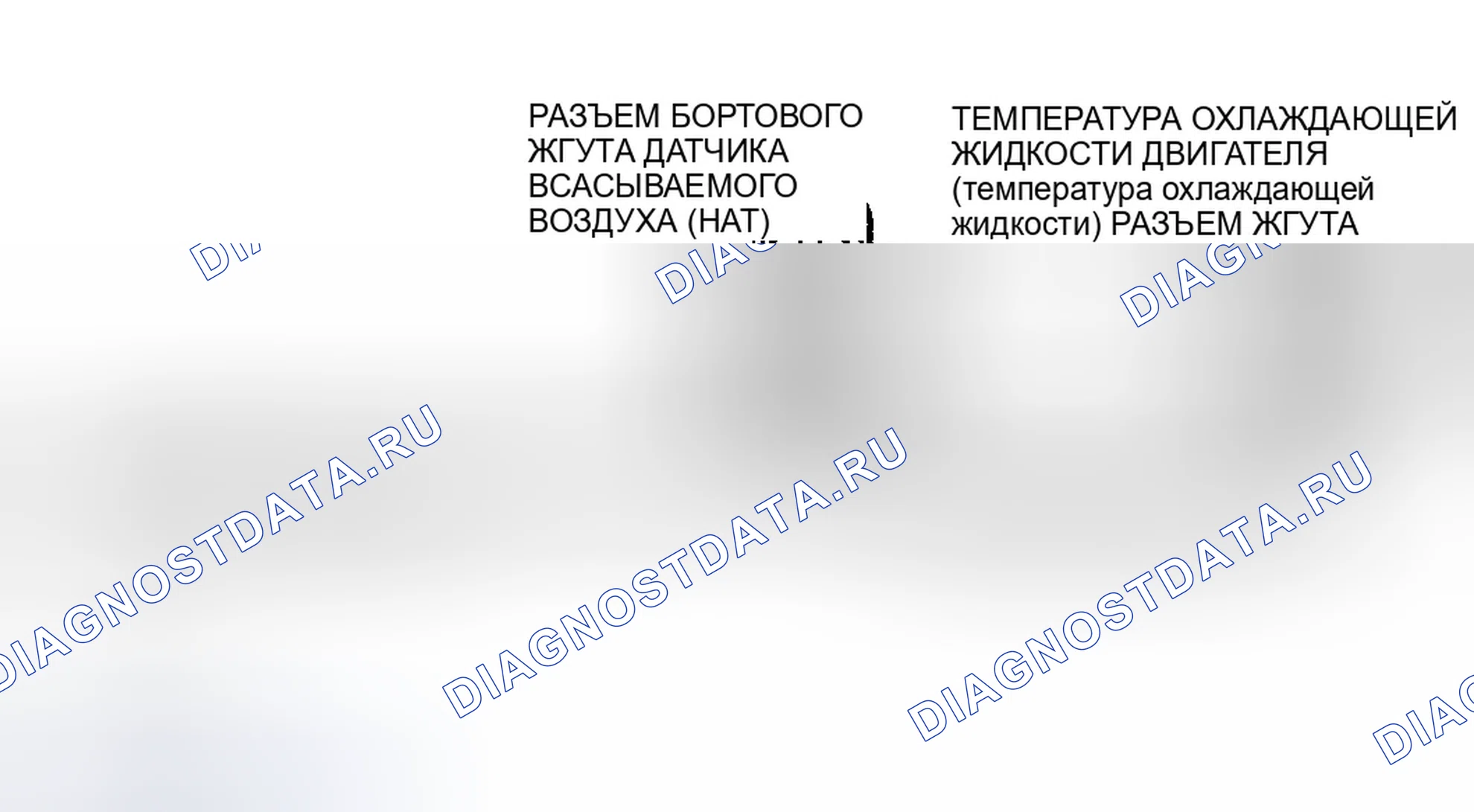 Рис. 98: Цепи датчиков температуры и клеммы разъемов. Ford Club Wagon E150 