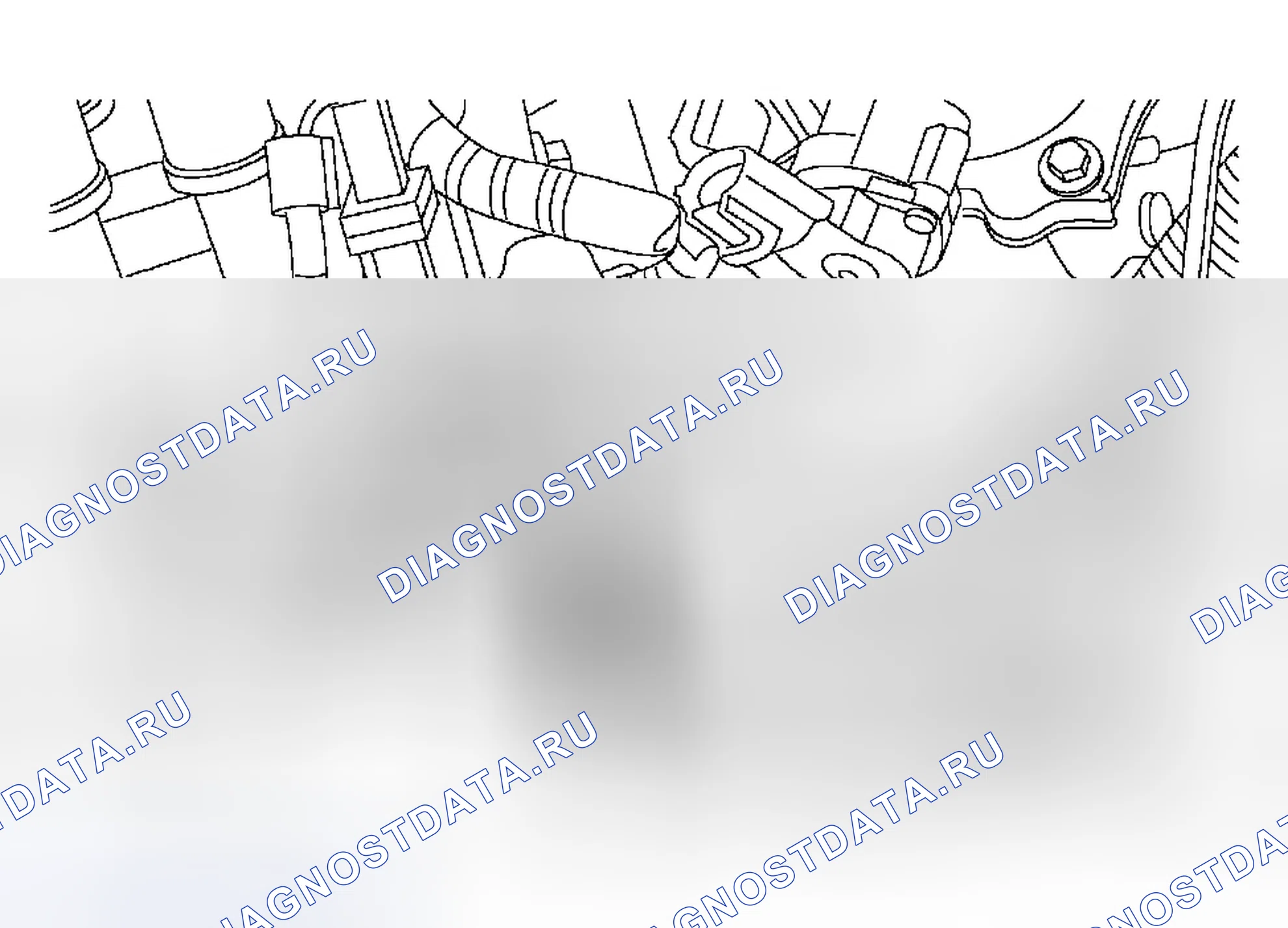 Рис. 1067. Ford Focus I рестайлинг