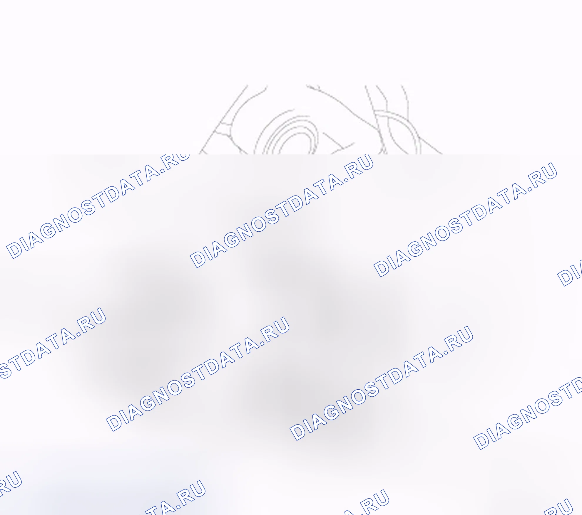 Рис. 9. Honda Crosstour I