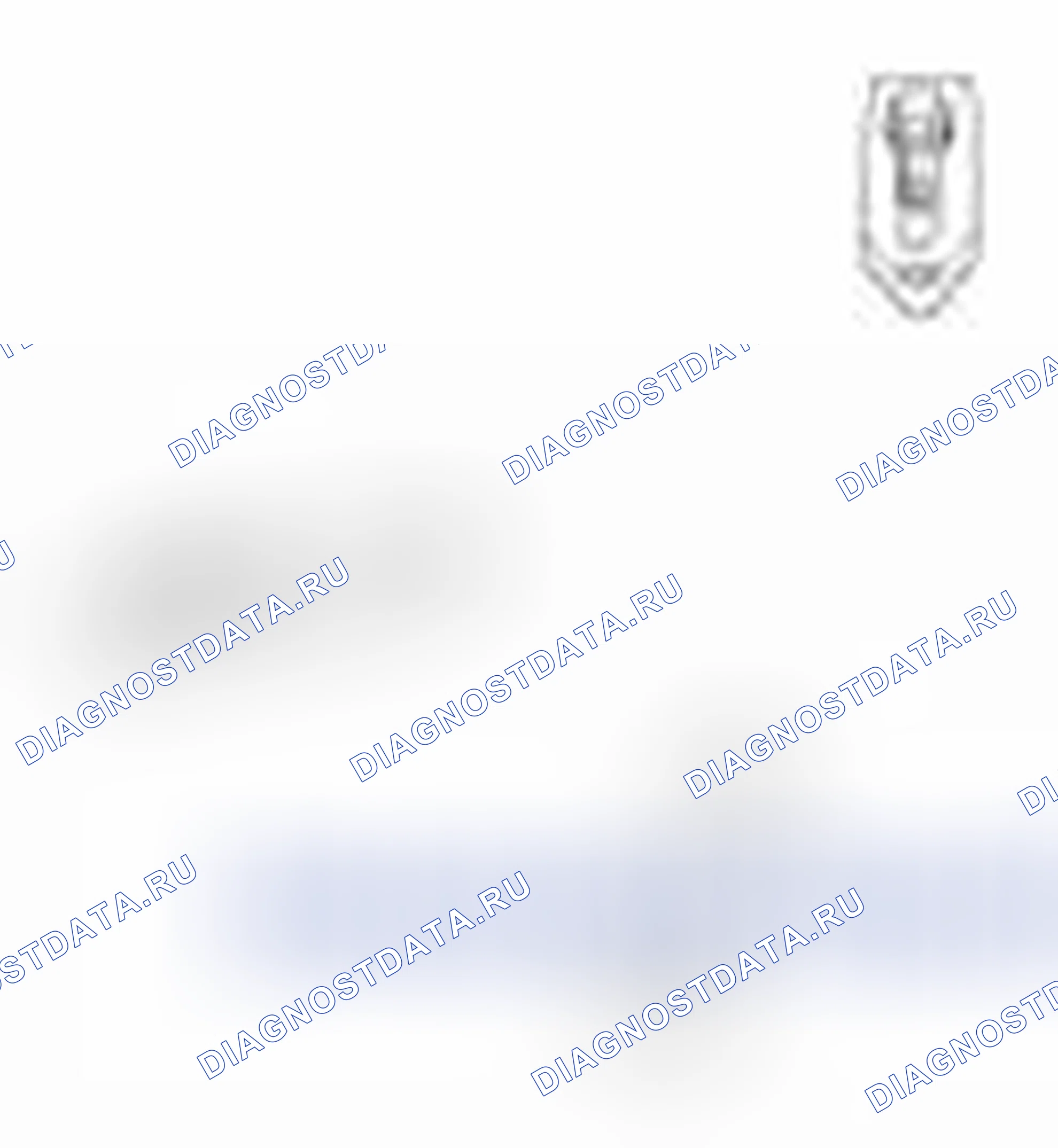Рис. 2. Haval Beast (Shenshou) I