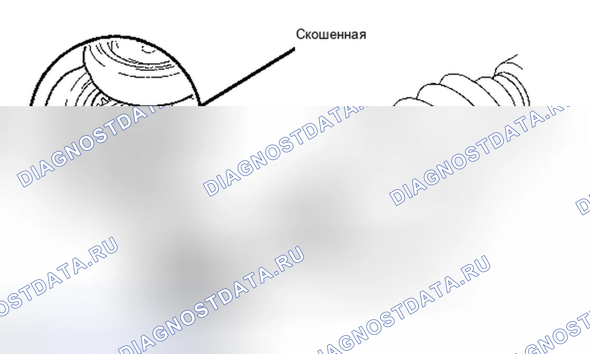 Рис. 58. Kia Sorento II