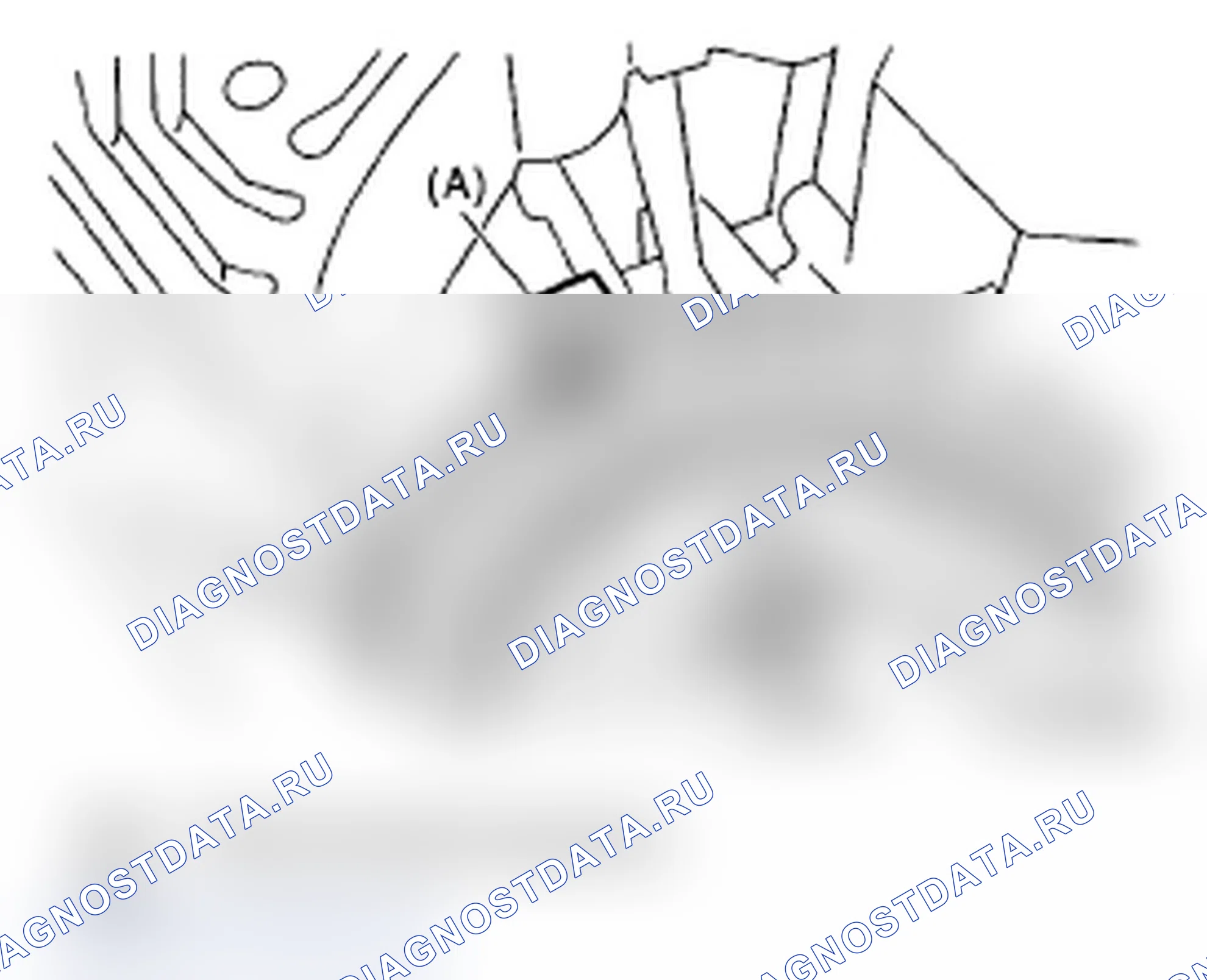 Рис. 254. Subaru Impreza WRX STI GD рестайлинг 2