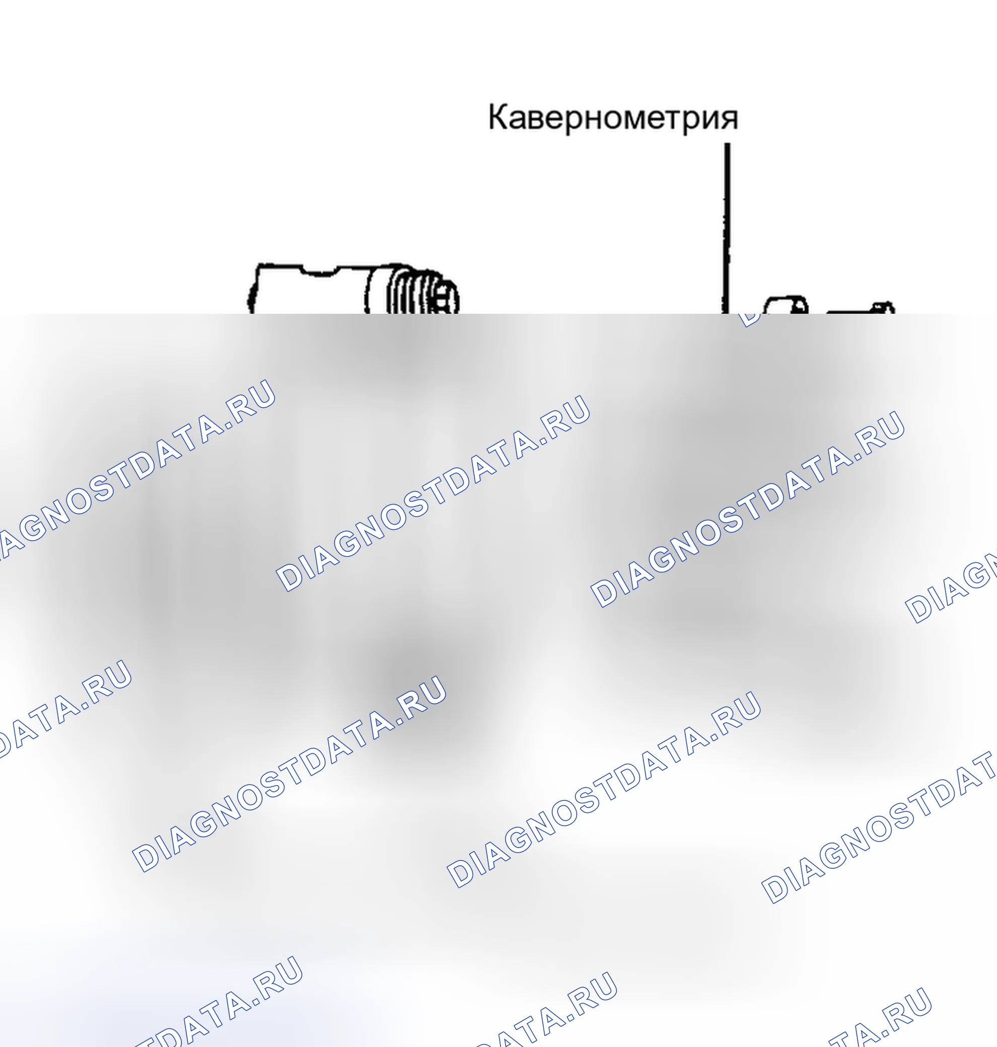 Рис. 1. Volkswagen Fox G1