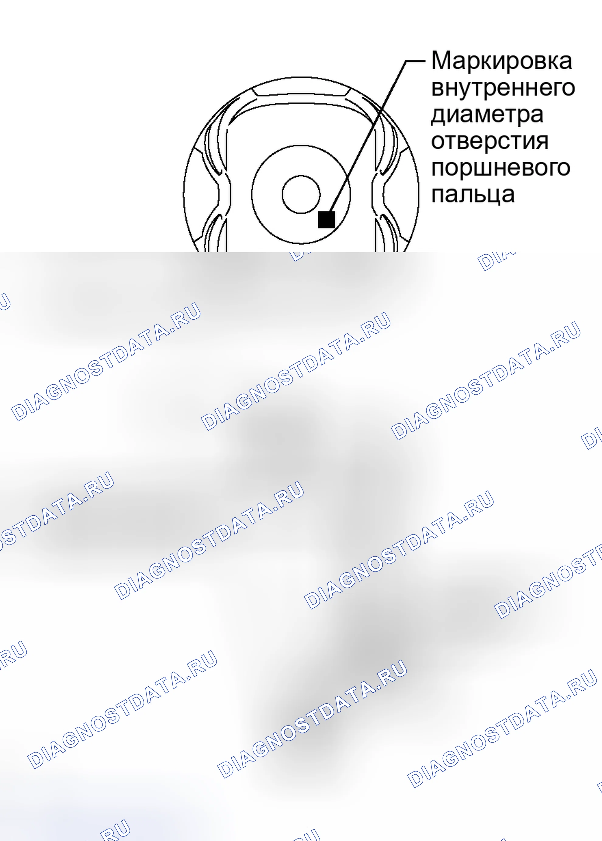 Рис. 684. Toyota RAV4 III