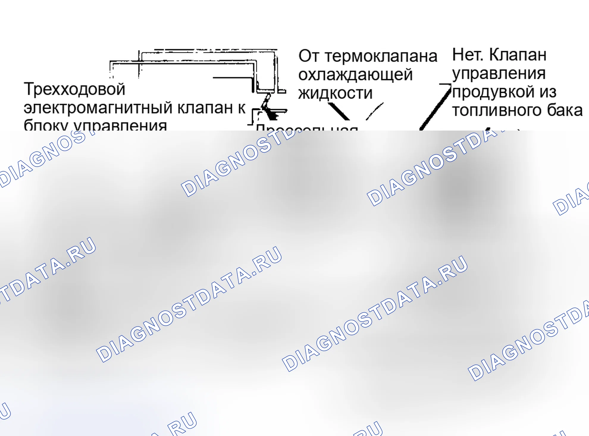 Рис. 11. Mazda MPV V