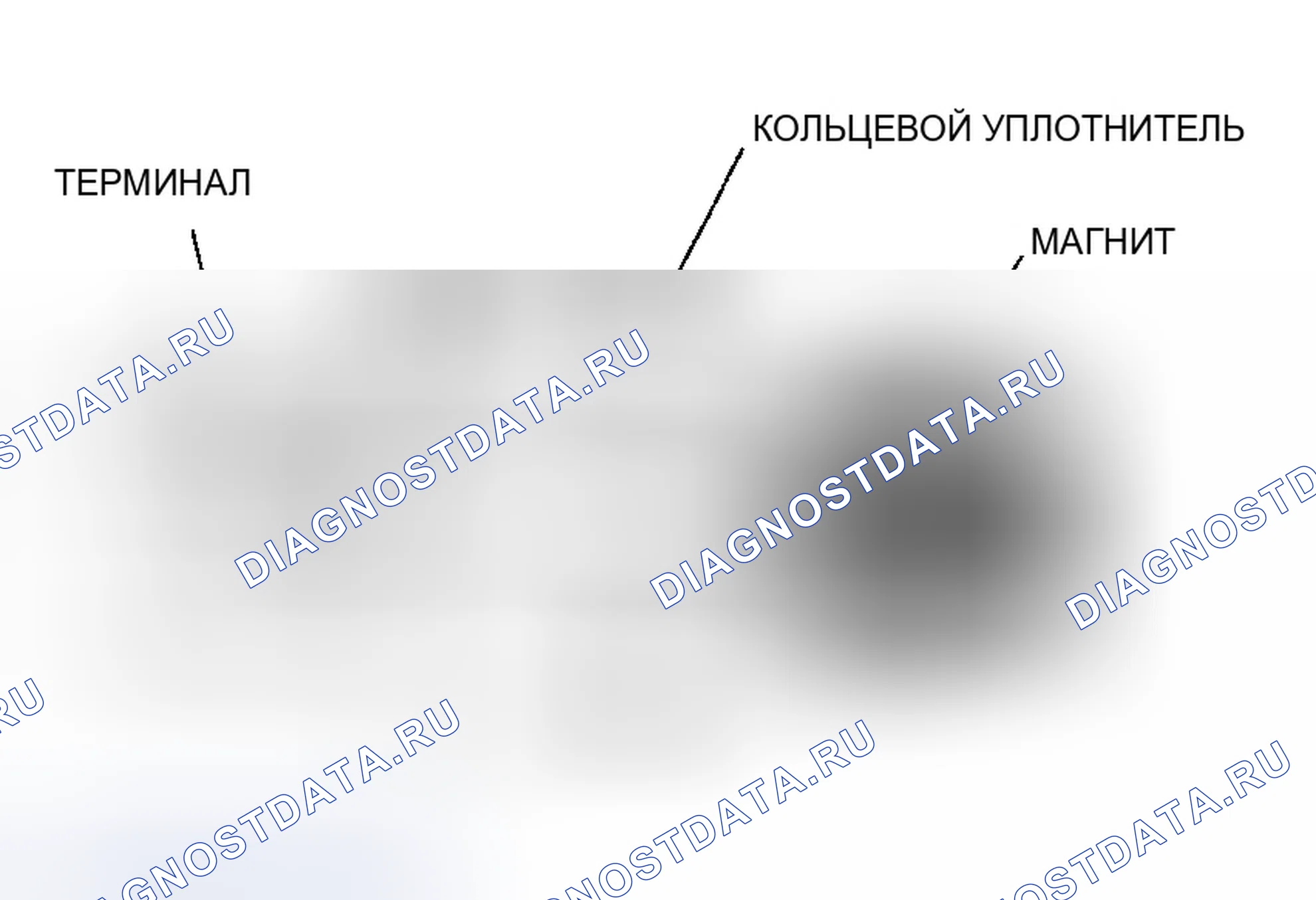 Рис. 25: Датчик положения коленчатого вала (Ckp). Honda S2000 I
