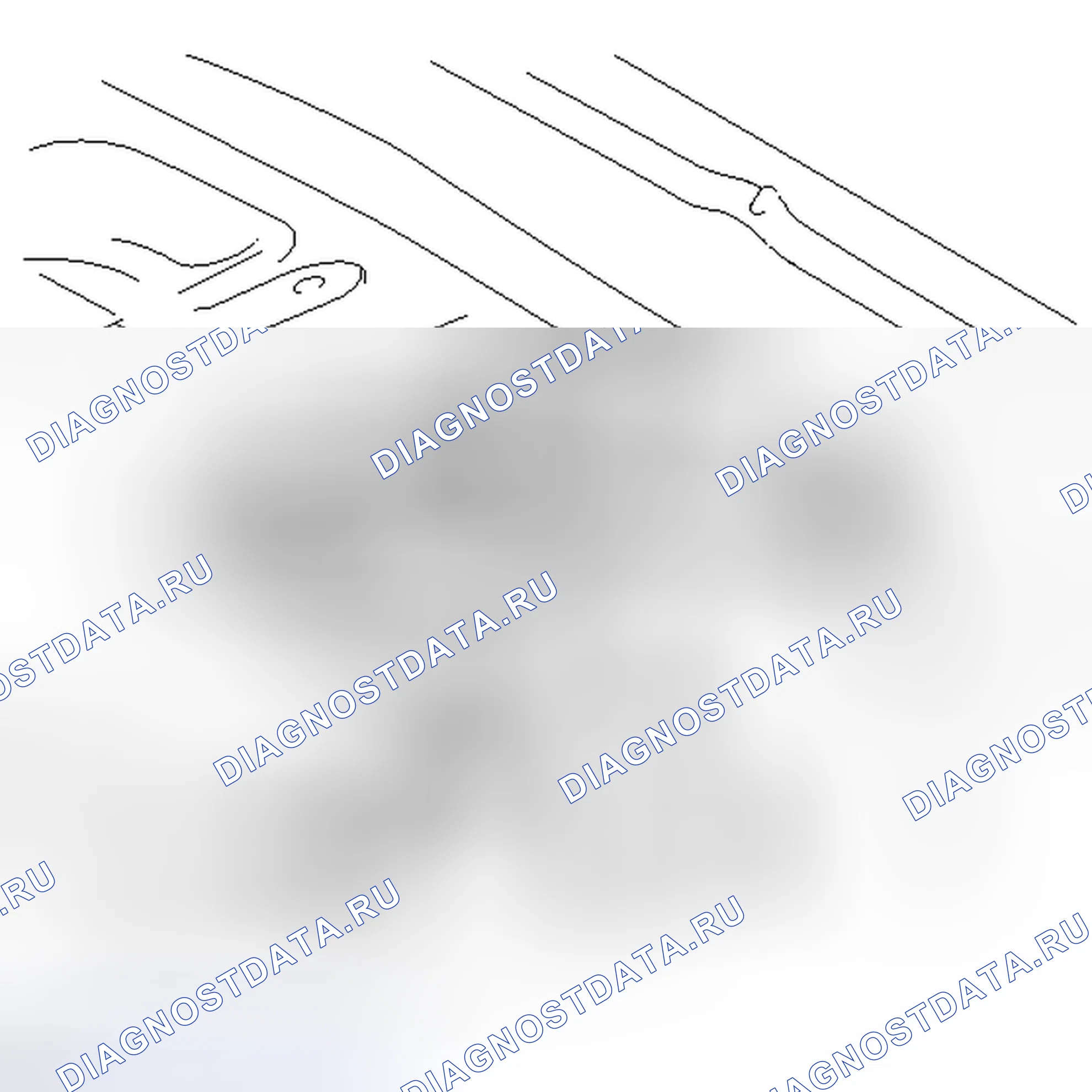 Рис. 136: УДАЛЕНИЕ [05 / 2013-01 / 2014]. Scion tC II рестайлинг